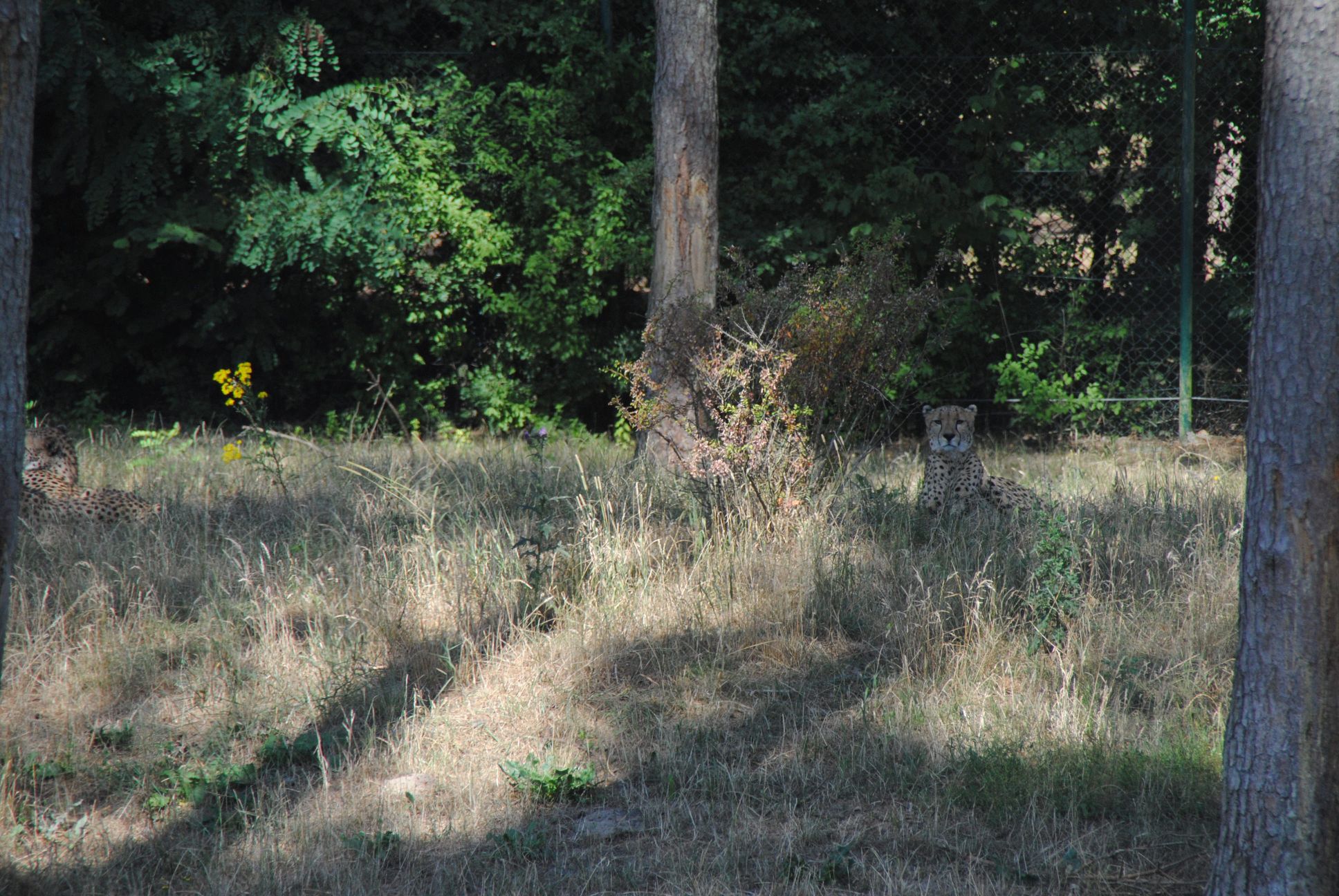 image047.jpg