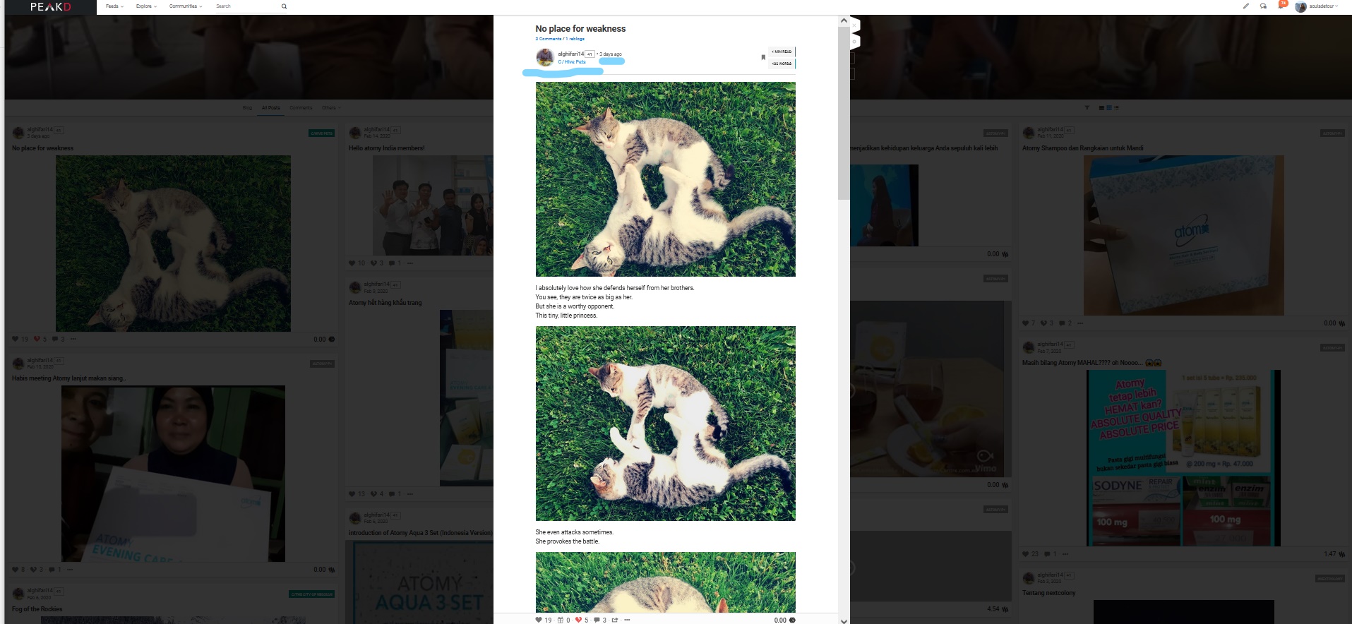 Screenshot (316)_LI.jpg