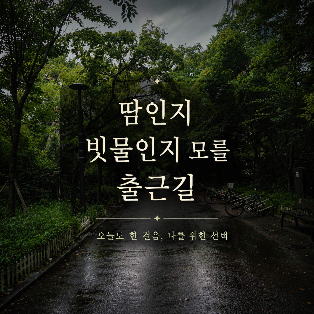 1000063498.png