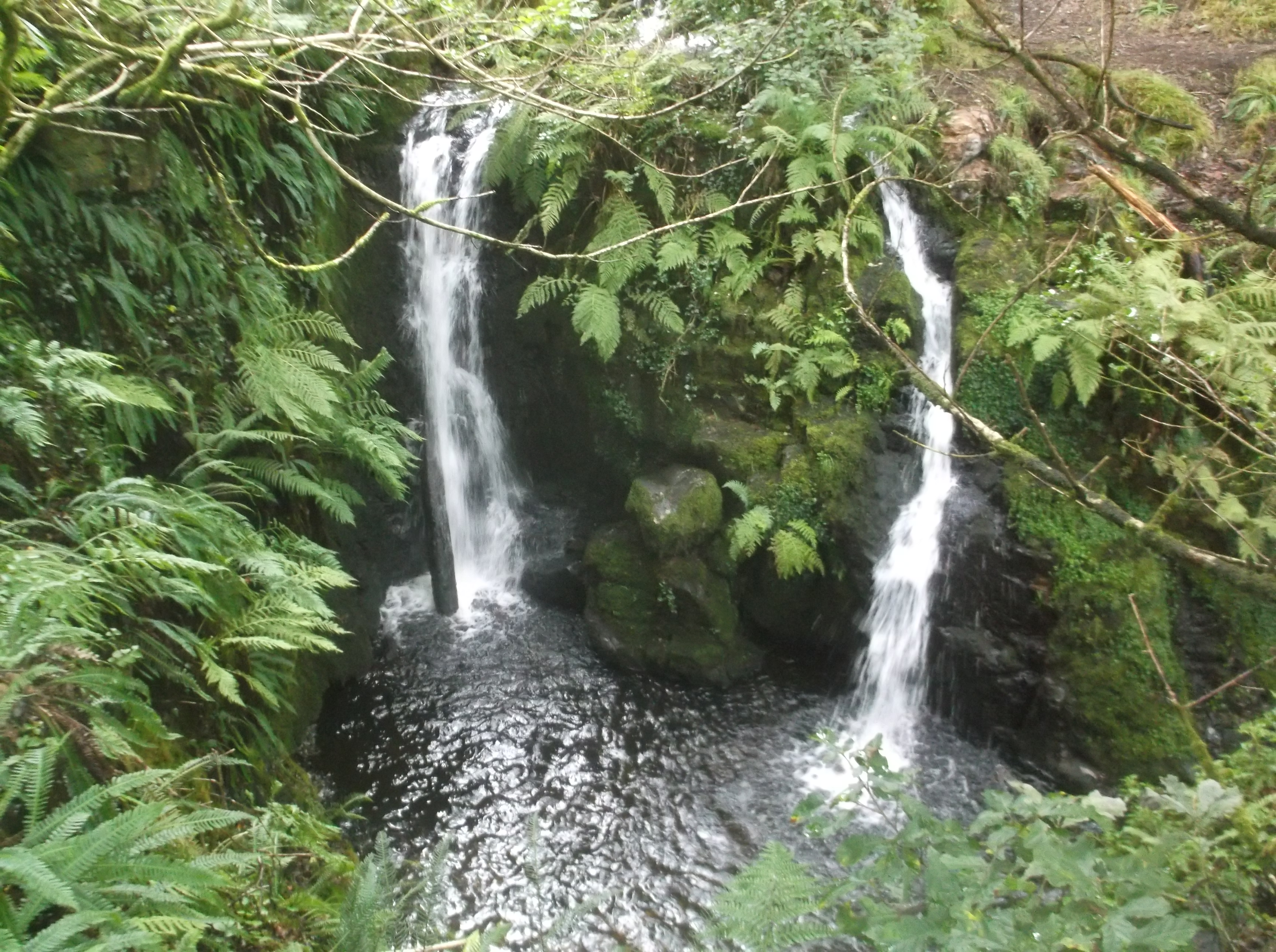 DSCF7433.JPG