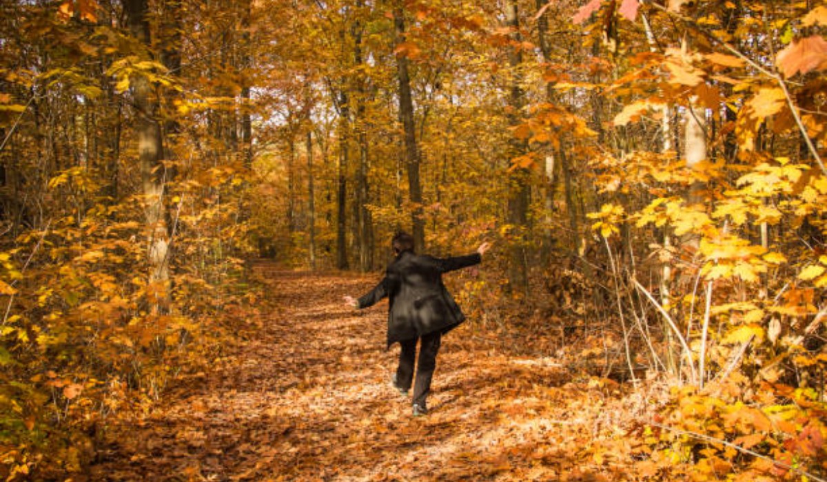 istockphoto-842756618-612x612_copy_1200x700.jpg