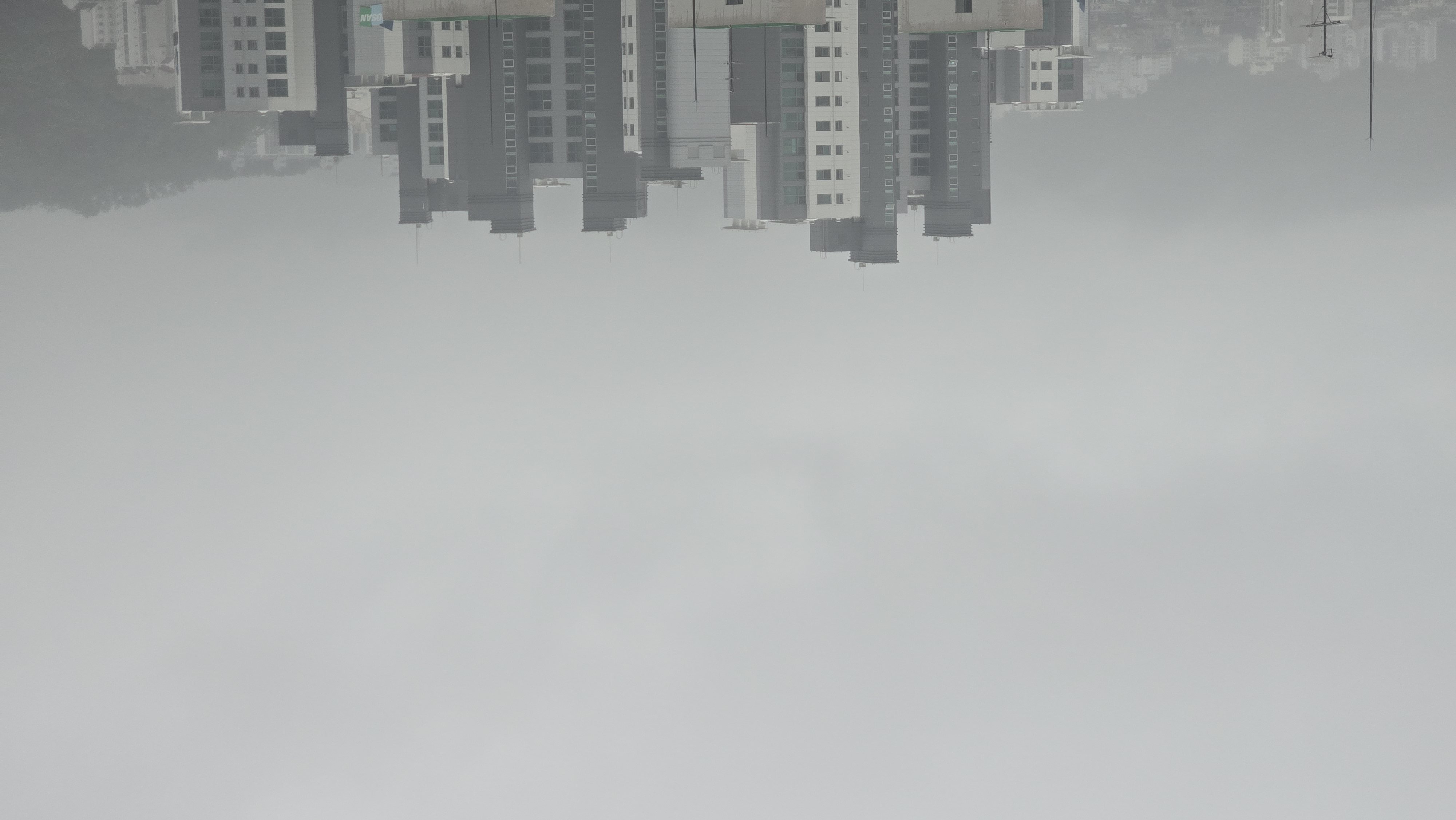 1000161682.jpg