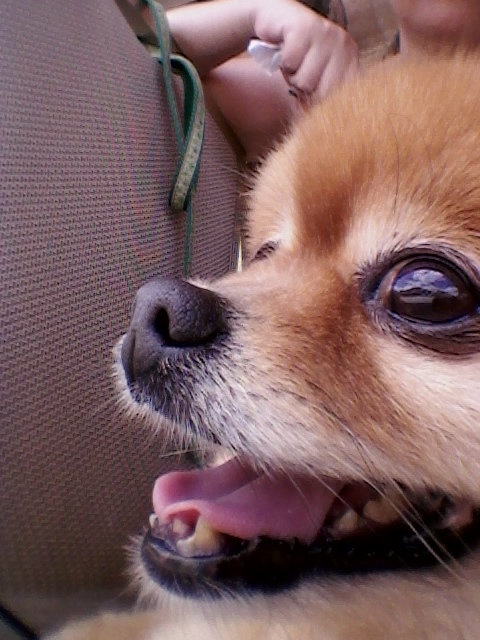2013-07-02 11.02.16.jpg
