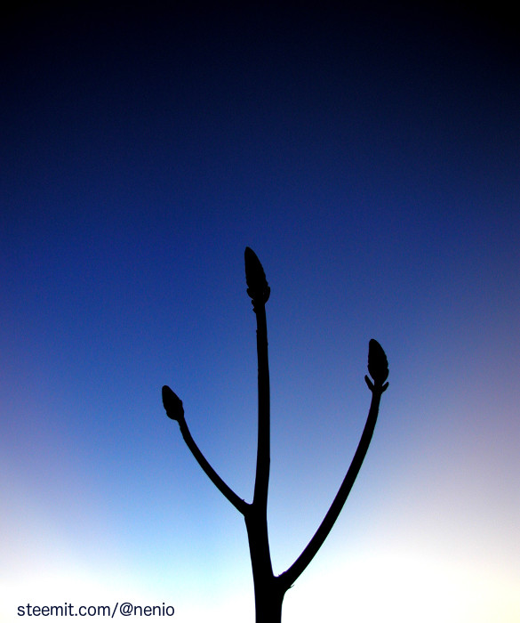 azul-gradiente.jpg