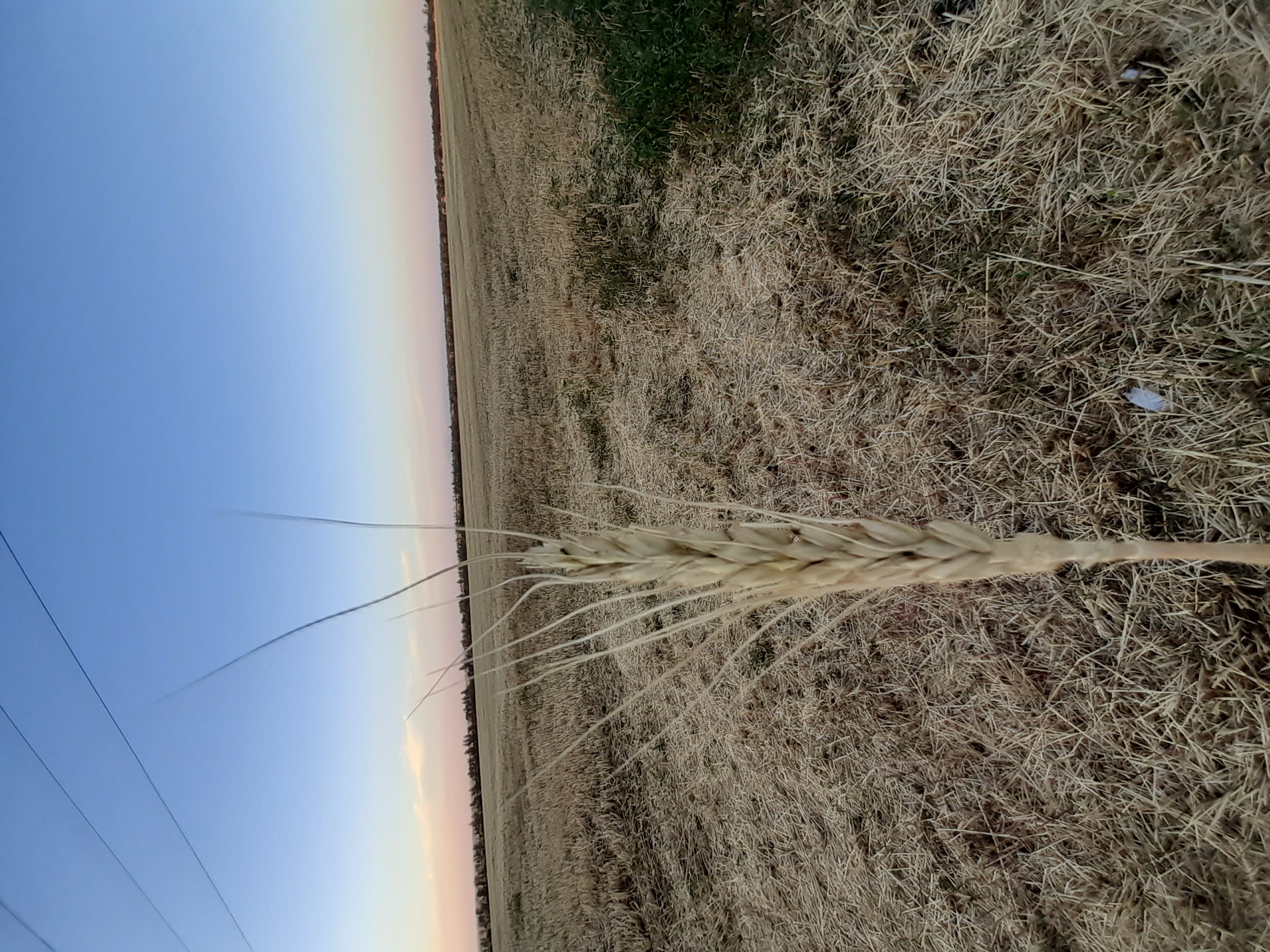 20190707_200449.jpg