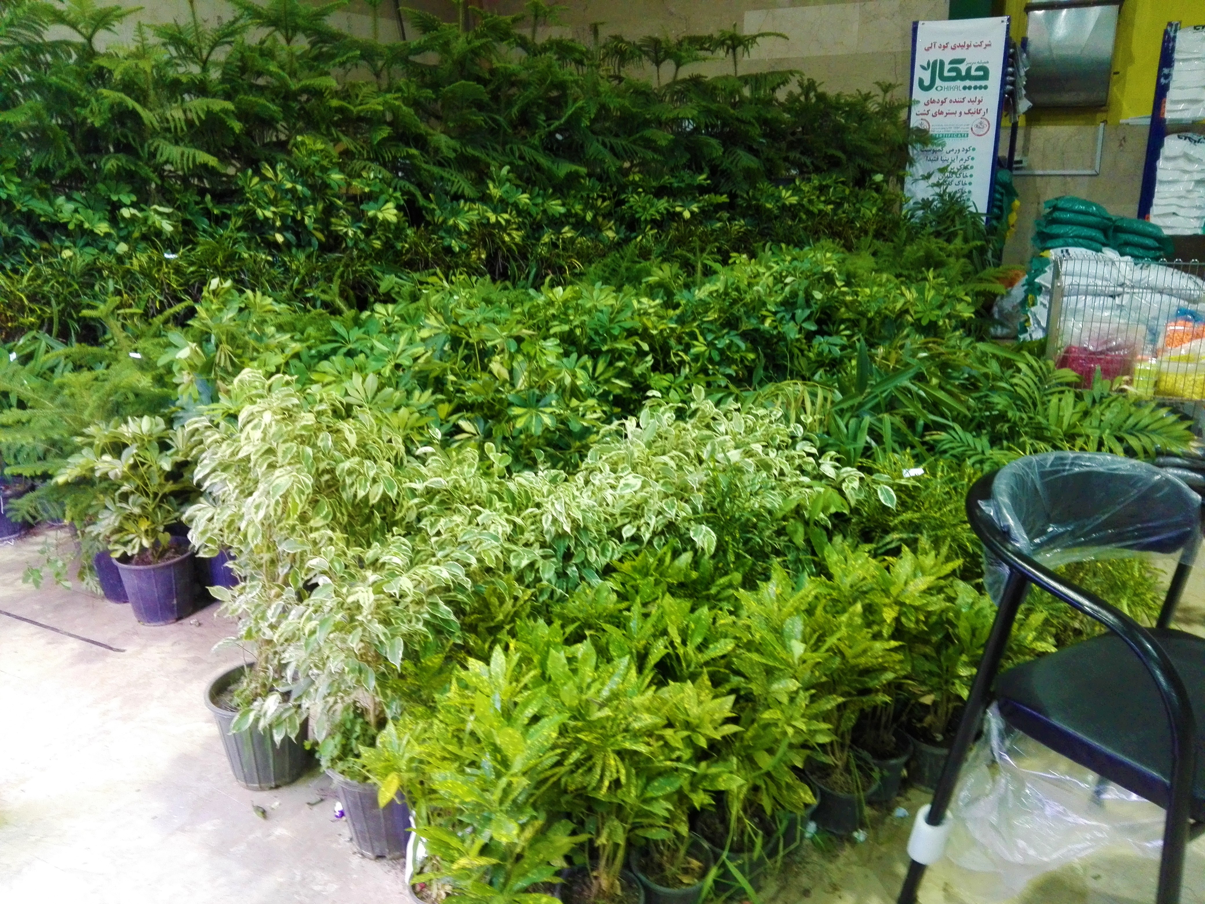 flowernatureb (309).jpg