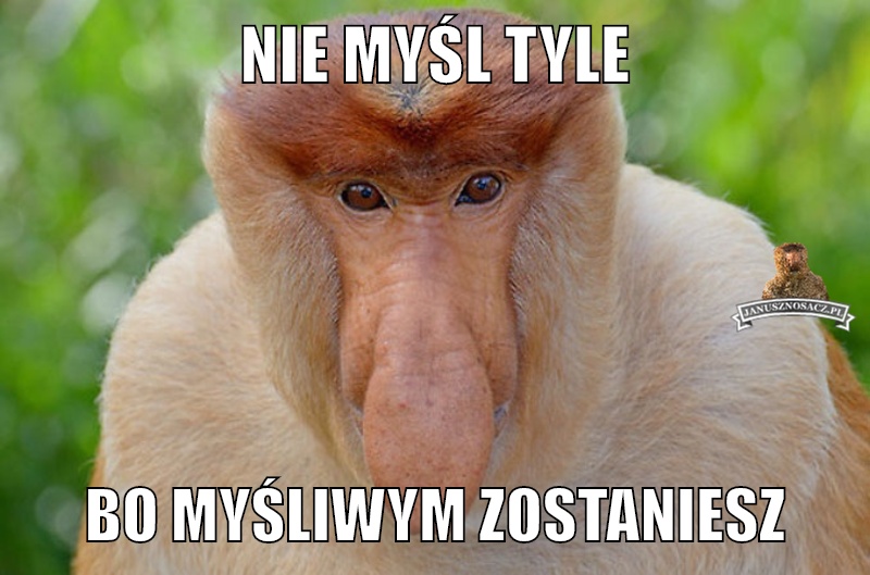 952f051589e6abdd021e701aeed101cf.jpg