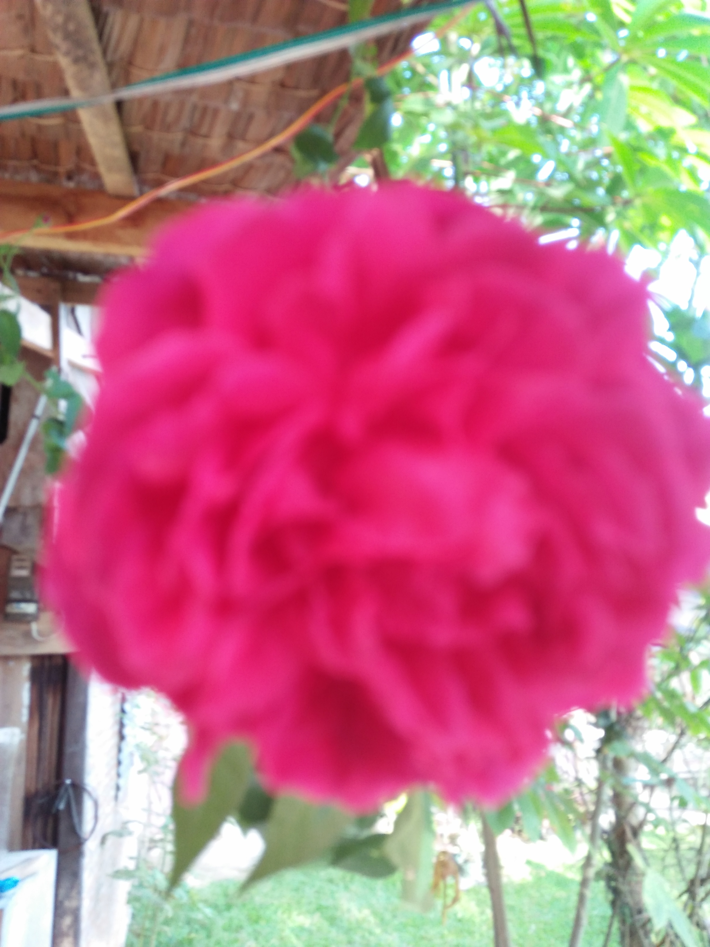 IMG20210622073407.jpg