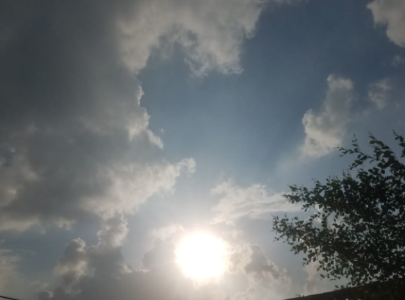 IMG_20210910_124212.jpg