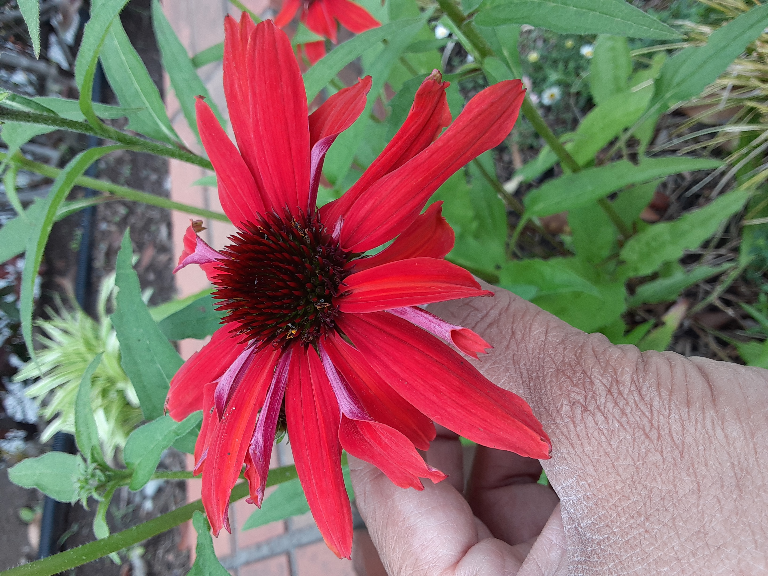 20220502_085251.jpg