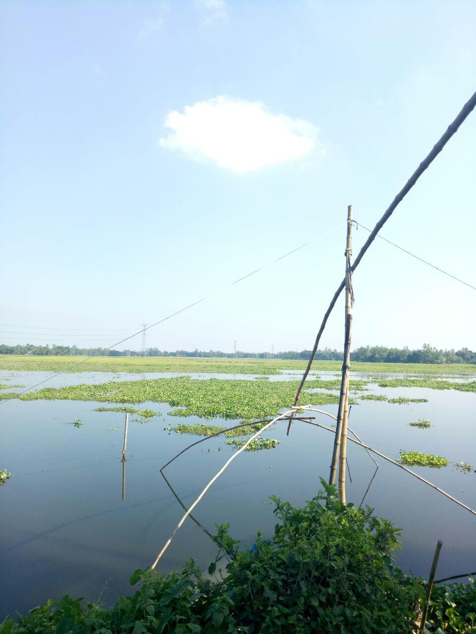 Village Lake.jpg