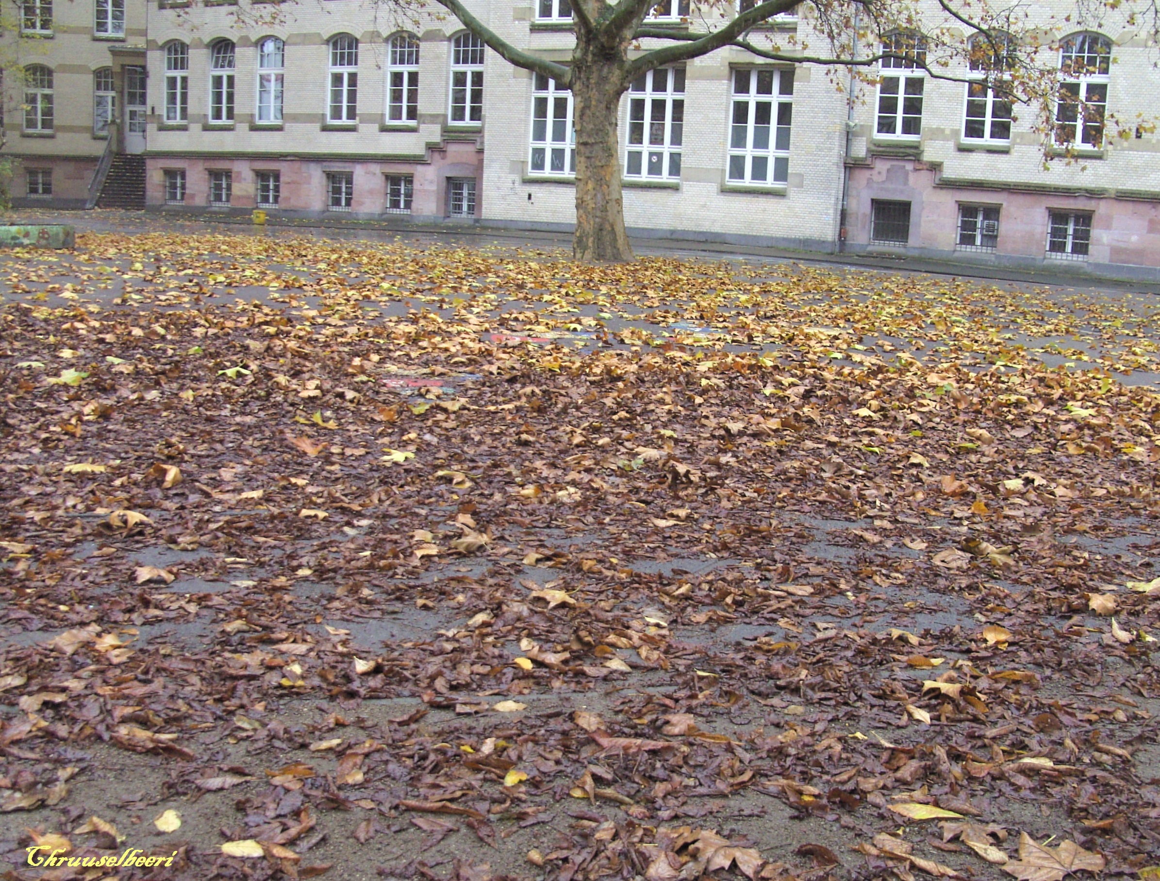 Novemberblues_01.jpg