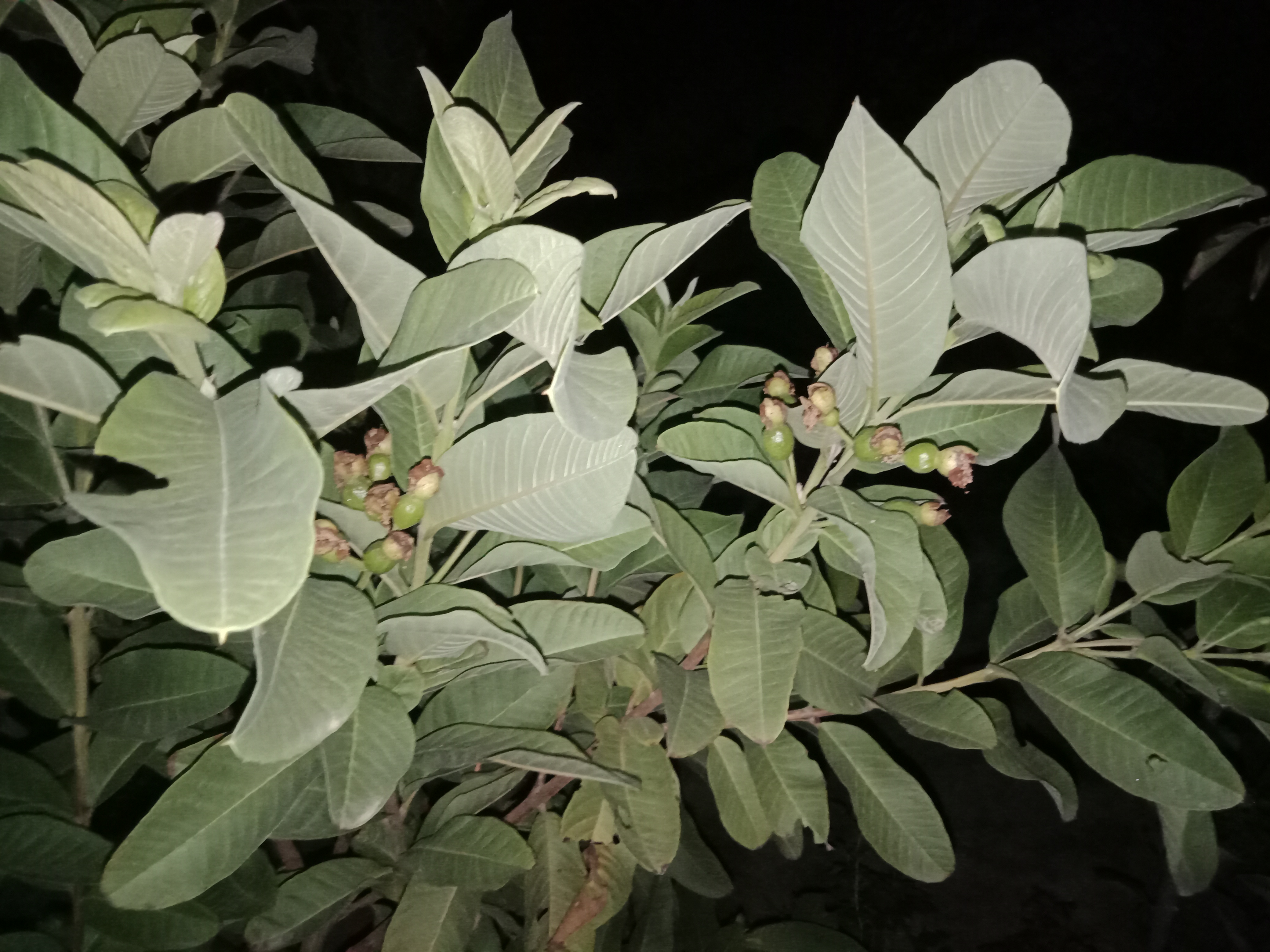 IMG20210910211416.jpg