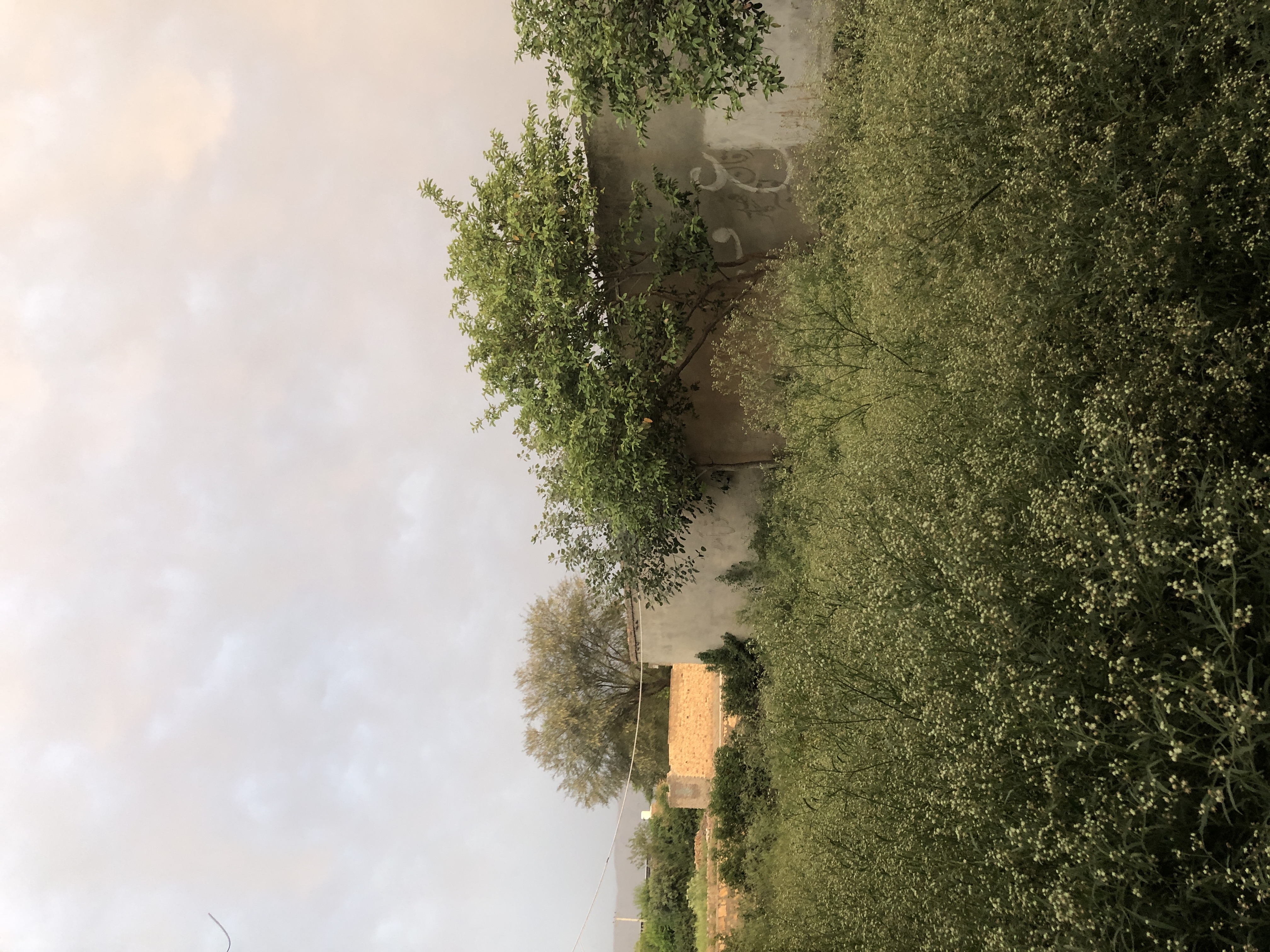 IMG_8660.jpeg