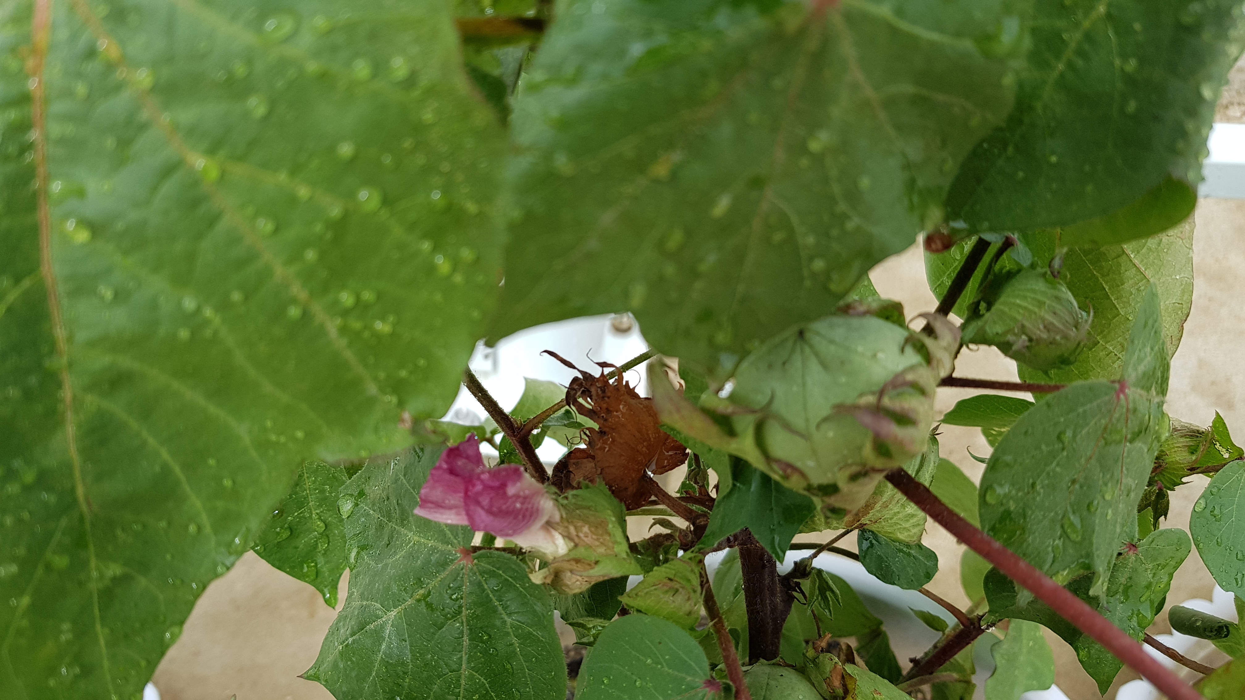 20180819_104158.jpg