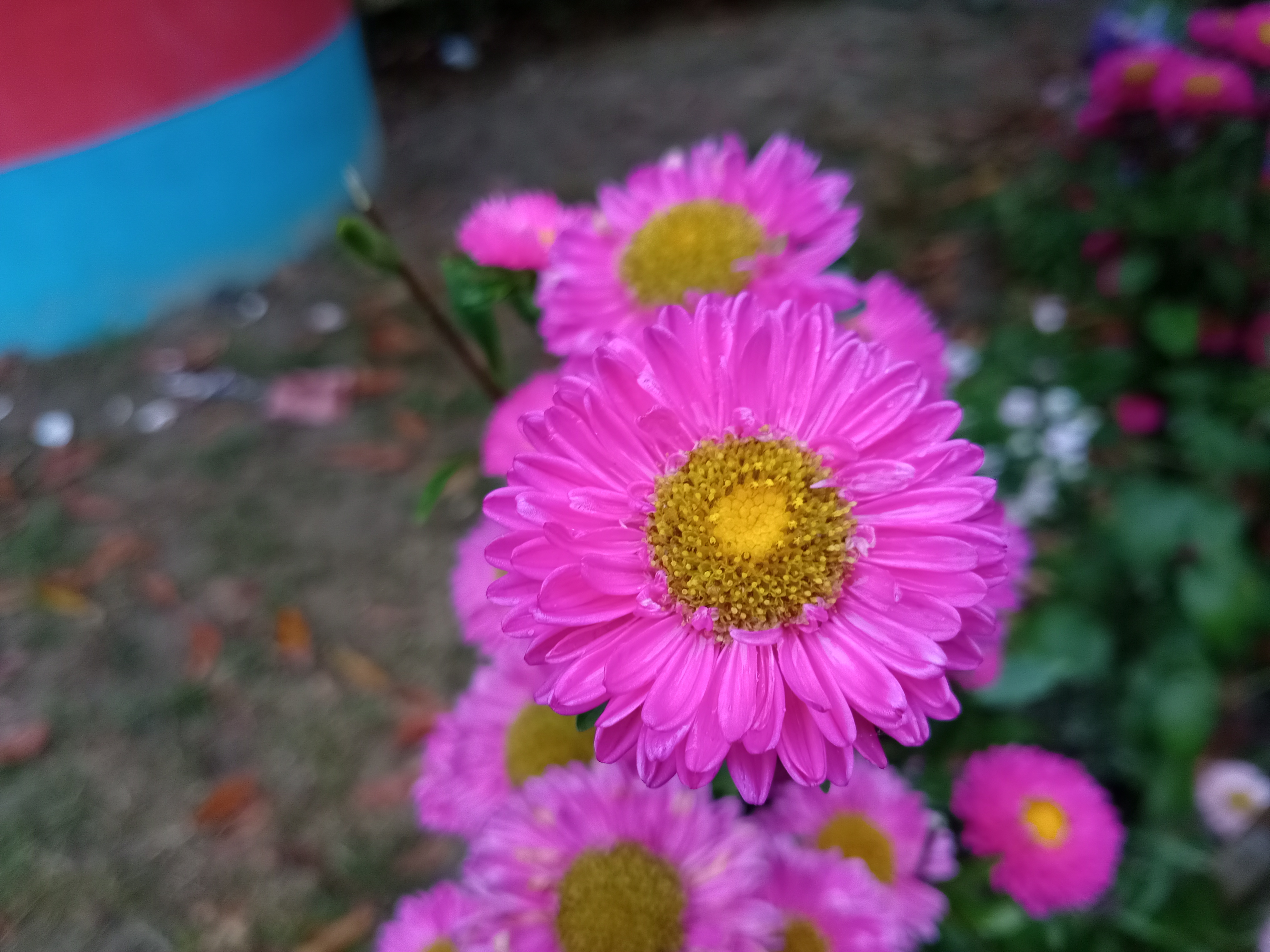 1000006672.jpg