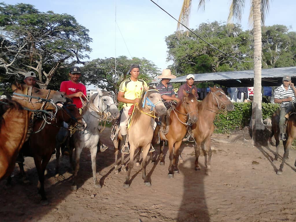 IMG-20210609-WA0015.jpg