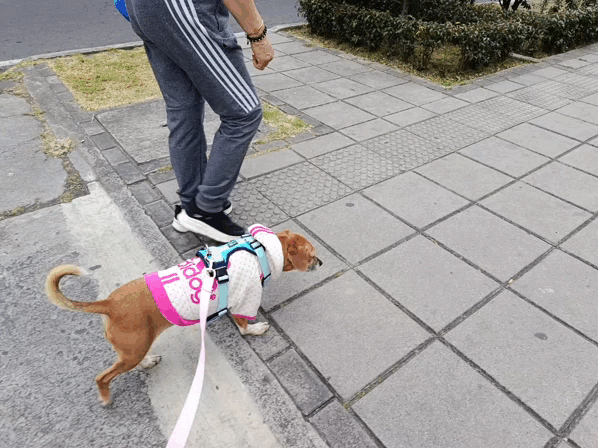 46707.gif
