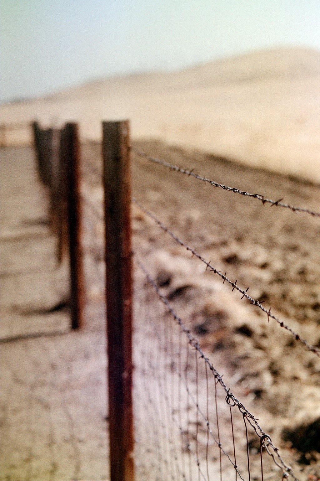 Fence - vertical.jpg