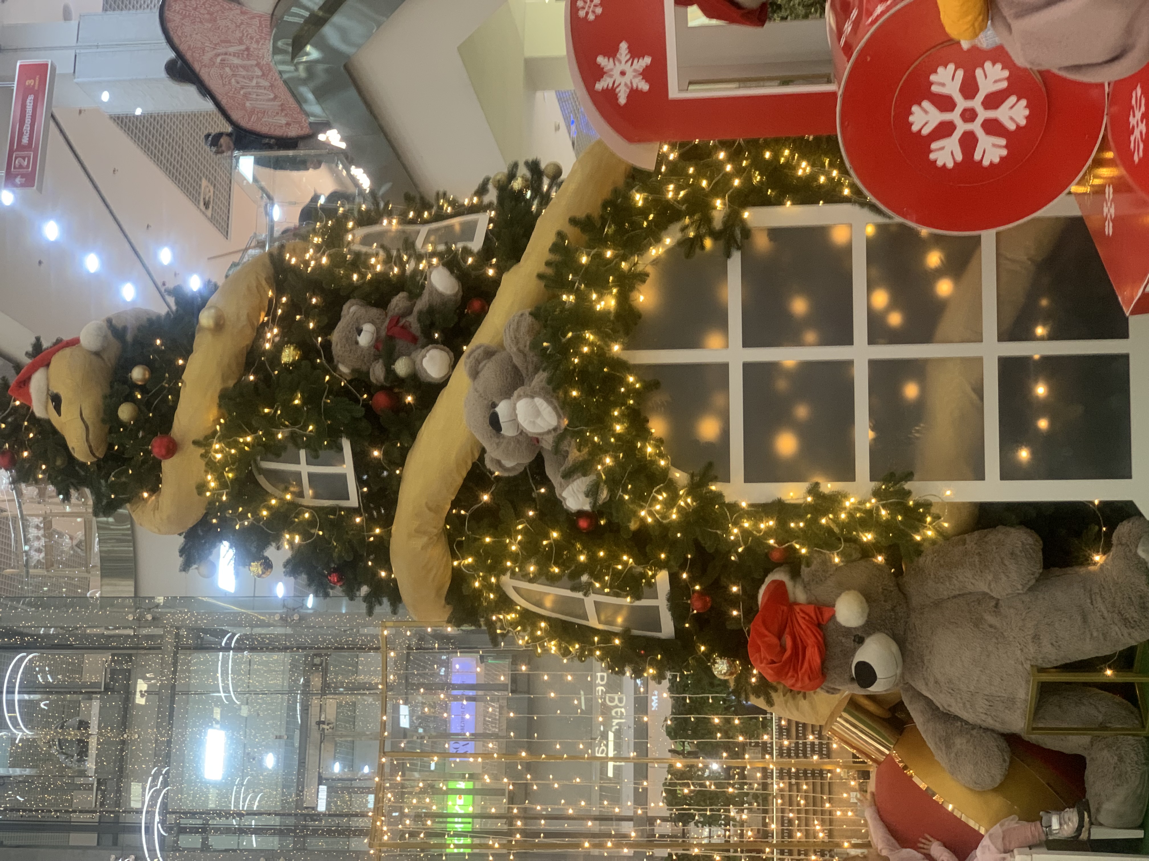 IMG_3833.jpeg