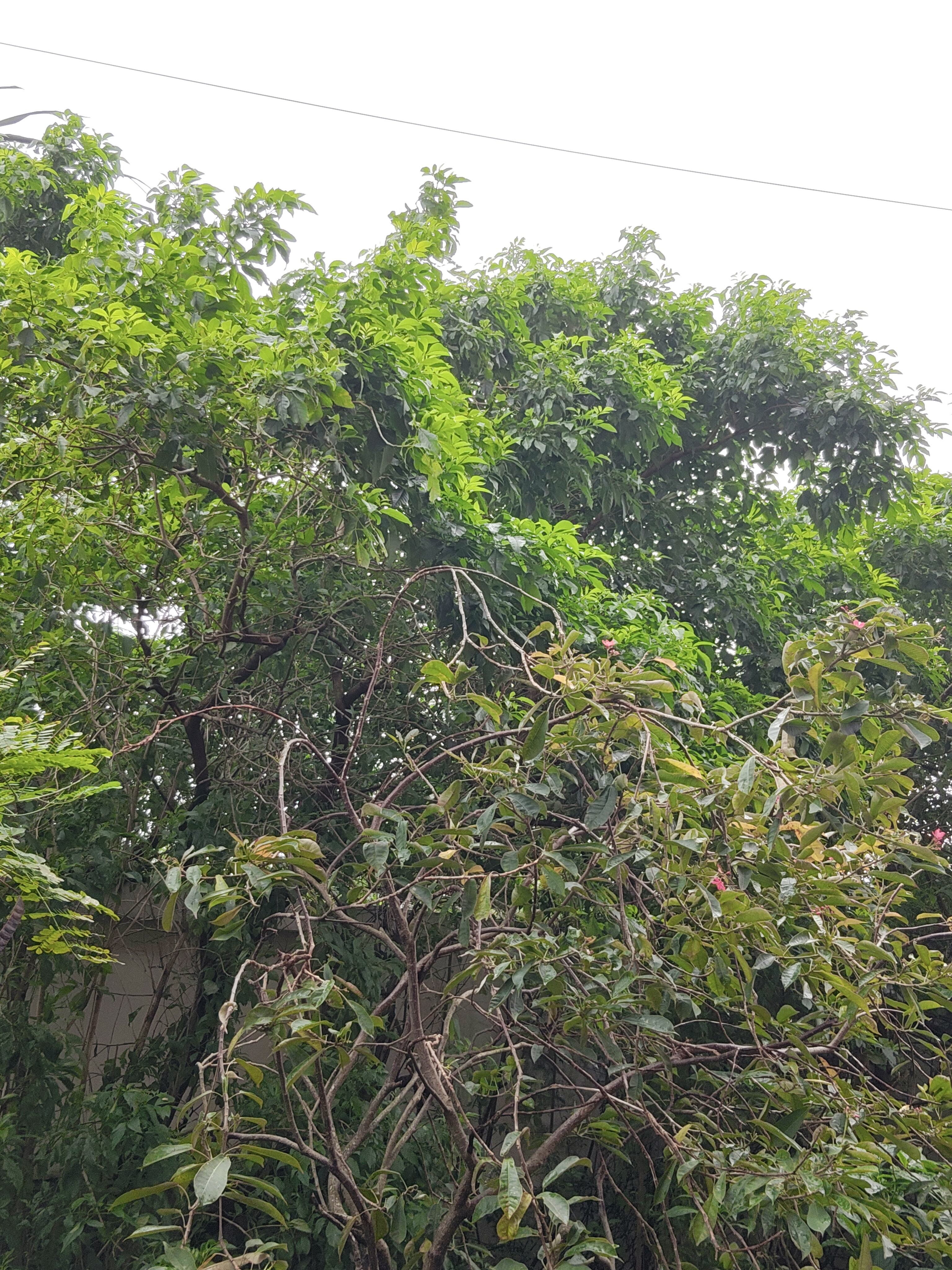 IMG20260728143446.jpg
