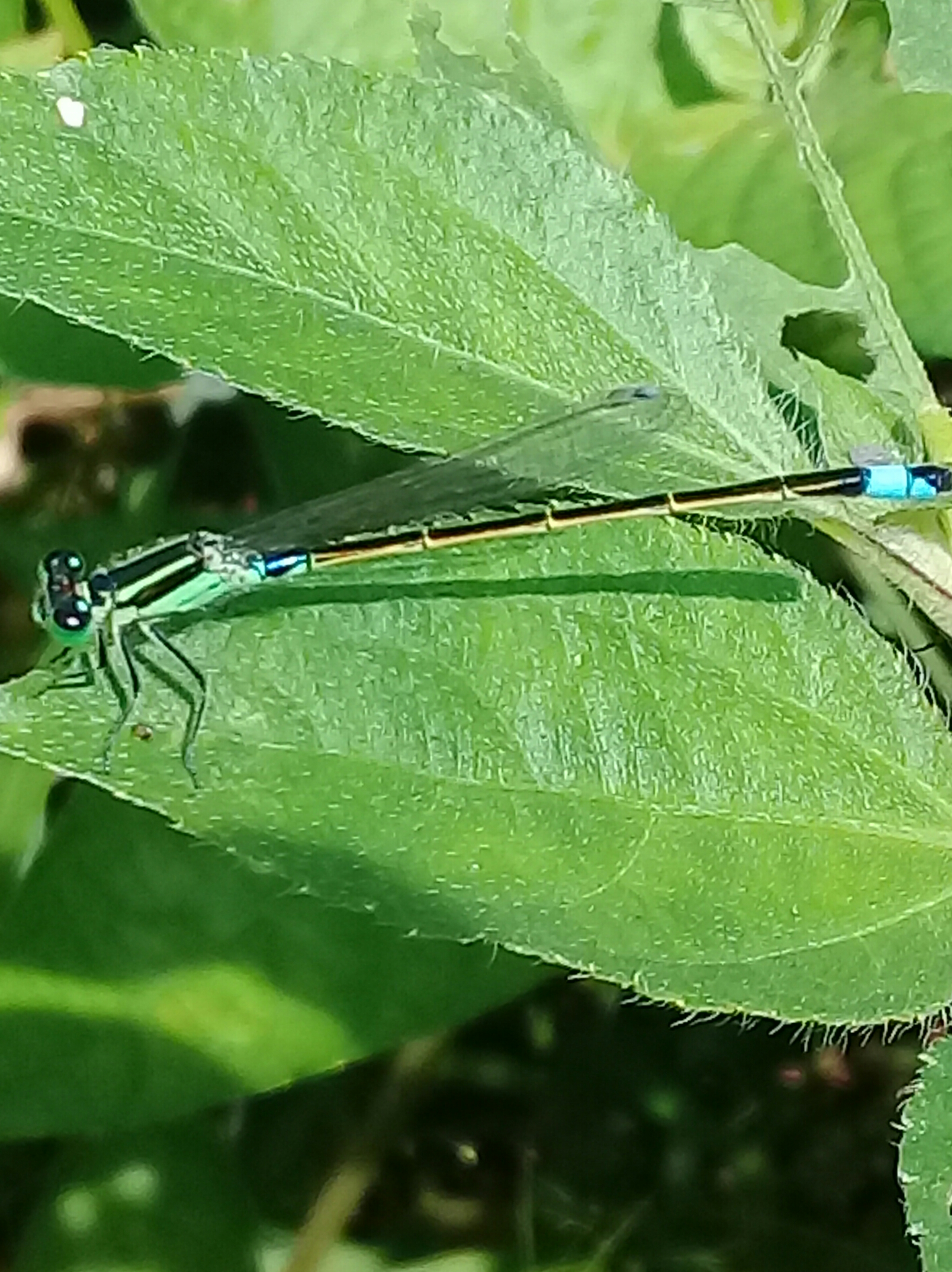 20181119_192251.jpg
