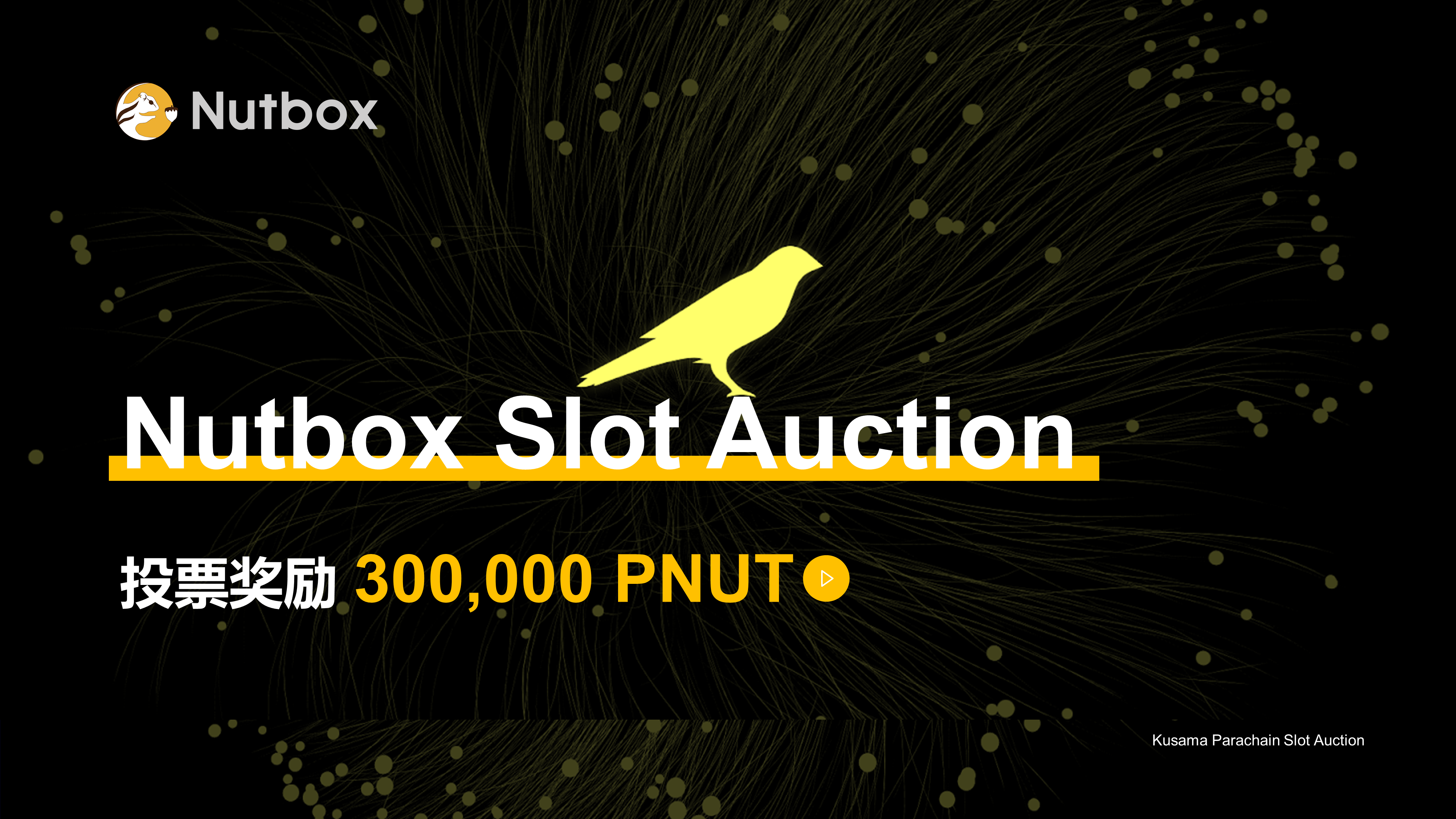 第二轮30万PNUT (1).png