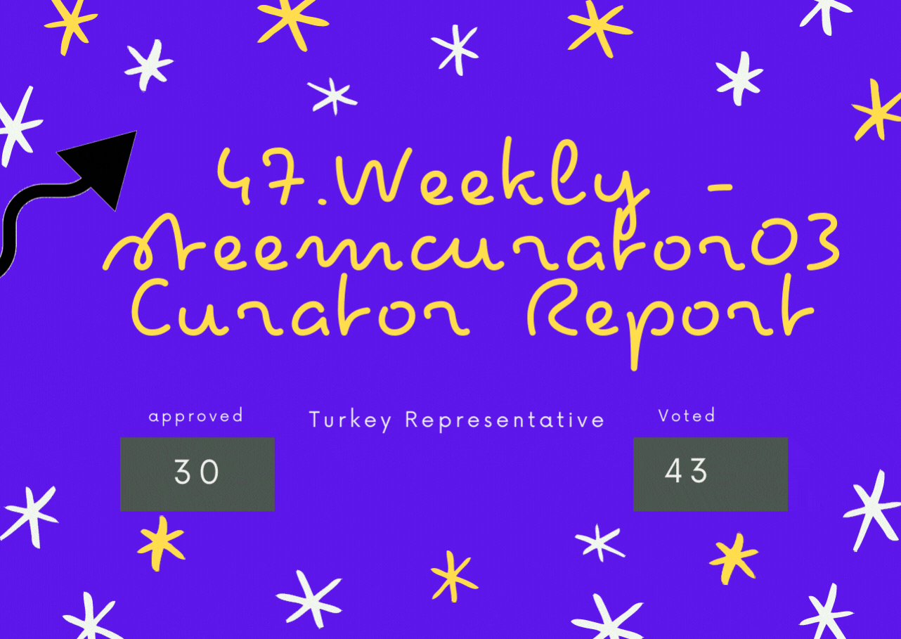 Second Weekly -steemcurator03 Turkey Curator Report.gif