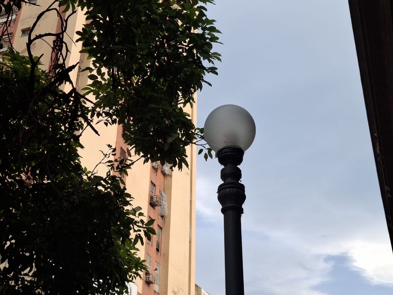 1001499794.jpg