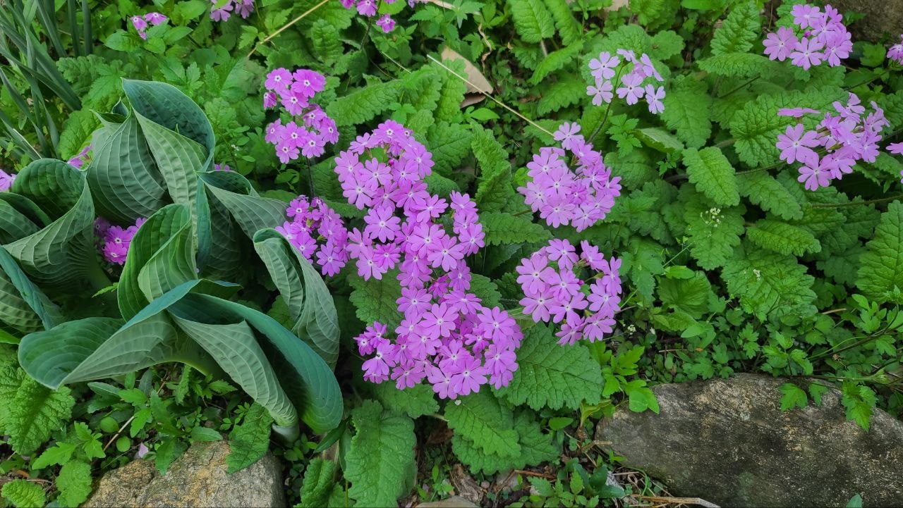 IMAGE 2026-07-12 07:48:48.jpg