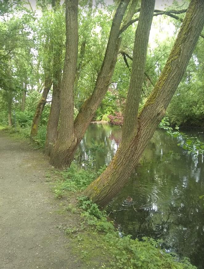 2021-04-21 at 10-44-05.jpg