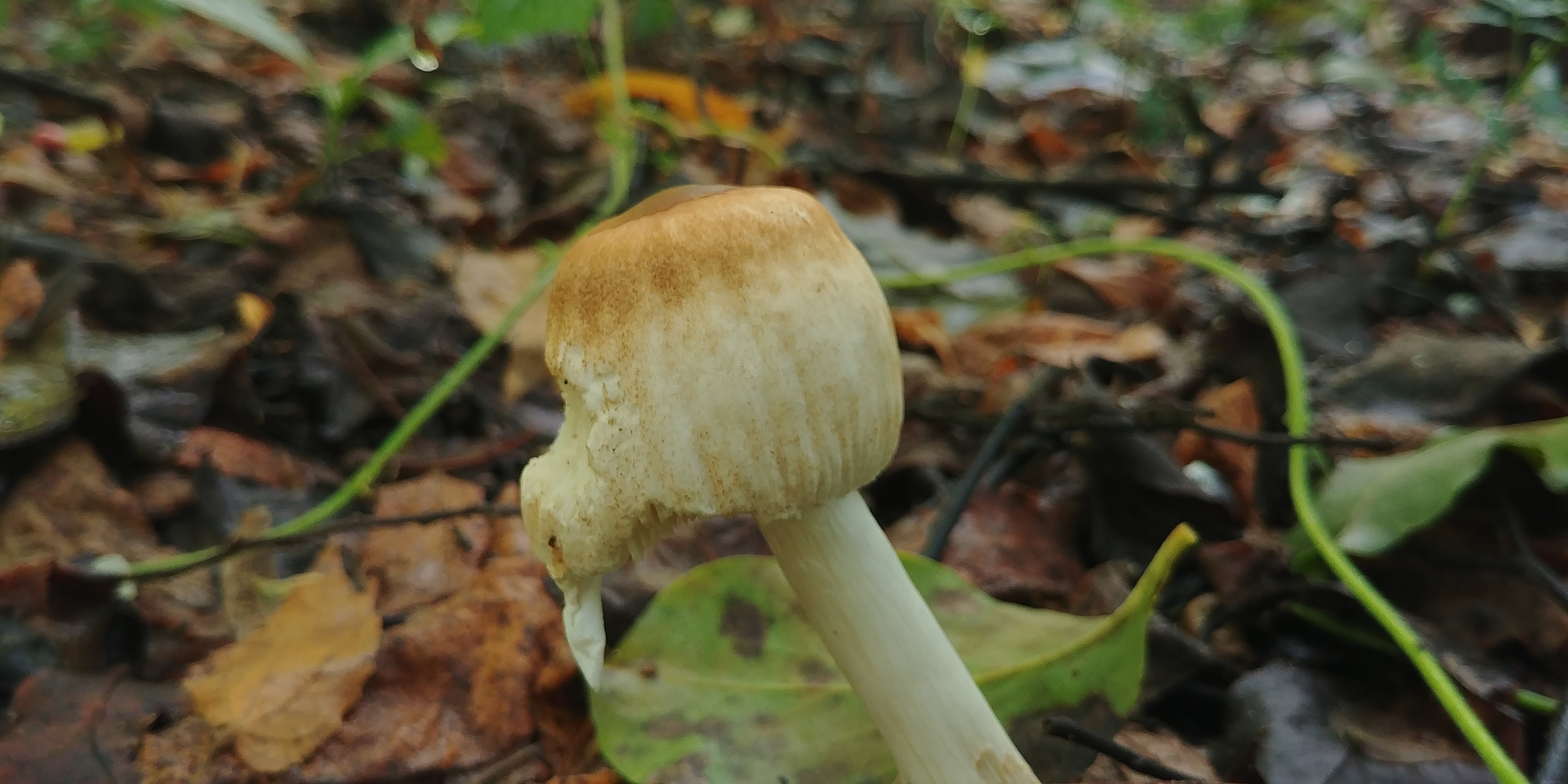 20180906_101807.jpg
