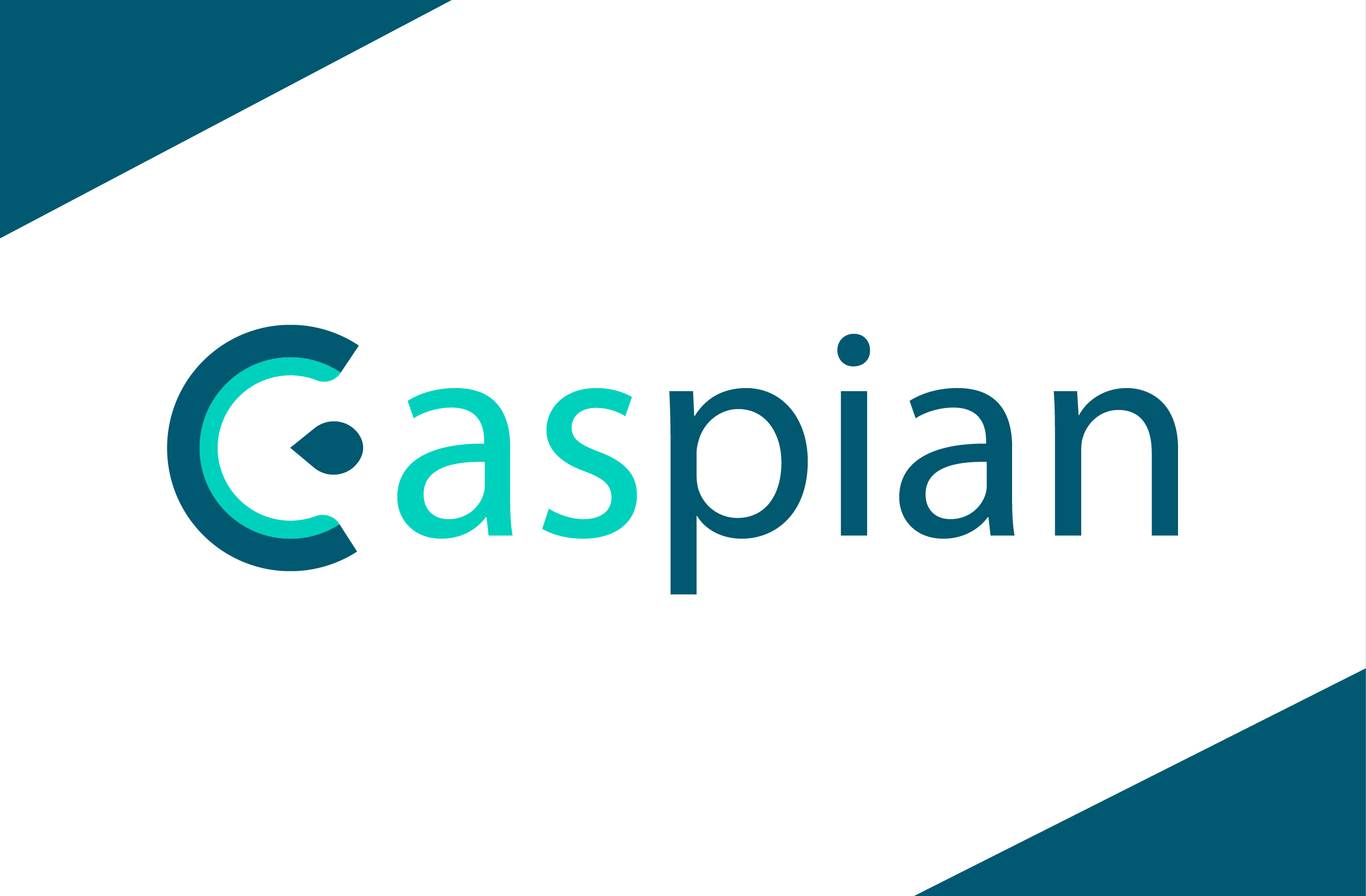 Caspian. Caspian фильтр. Caspian logo. Caspian integrated services логотип.