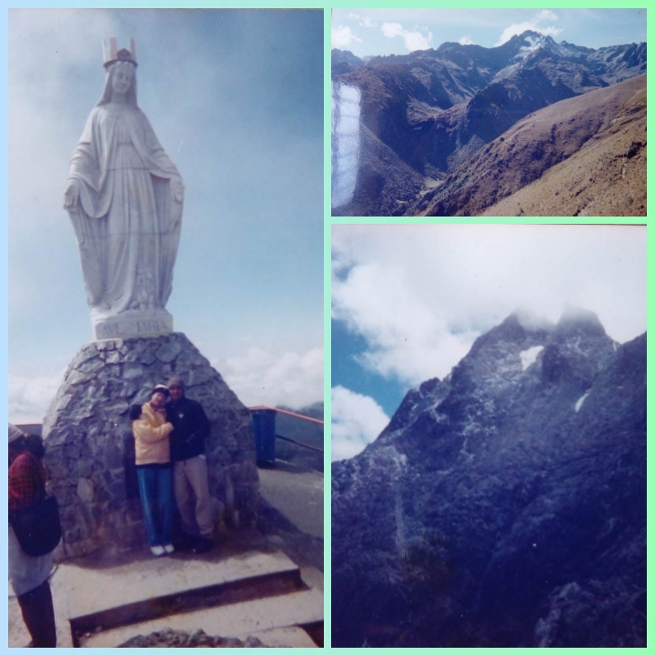 collagepro_202111810284124.jpg
