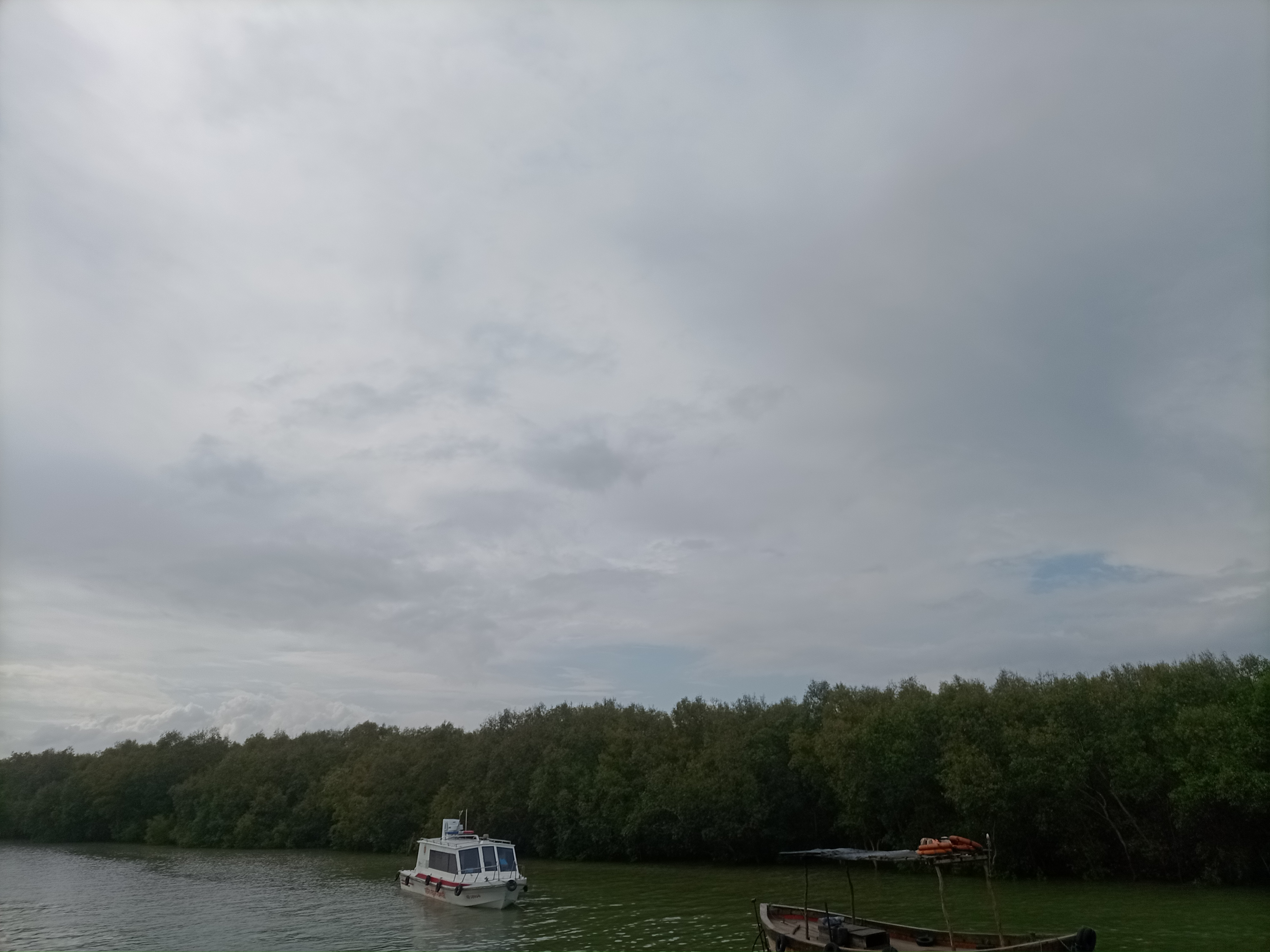 IMG_20230625_154603907.jpg