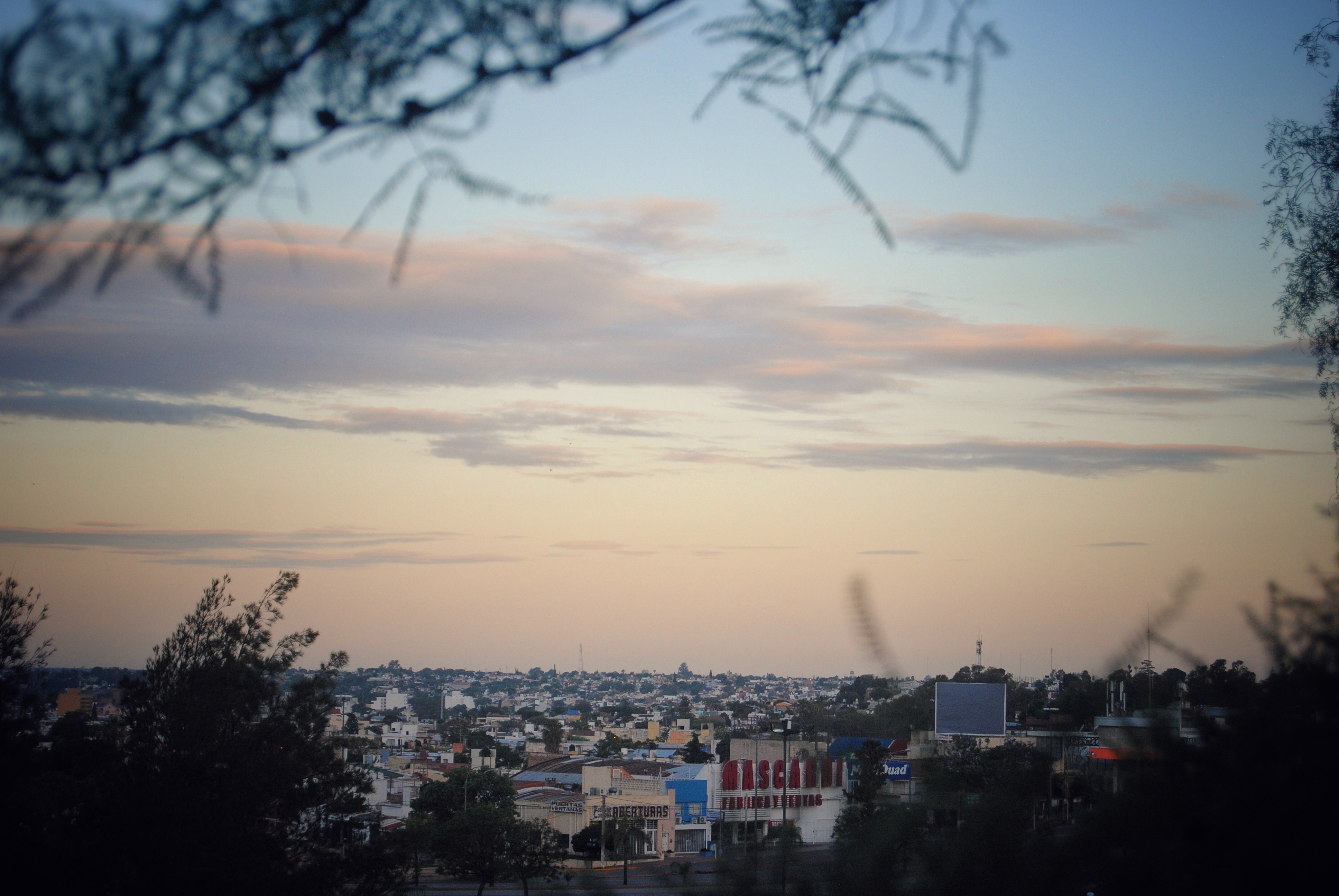 DSC_0023-01.jpeg