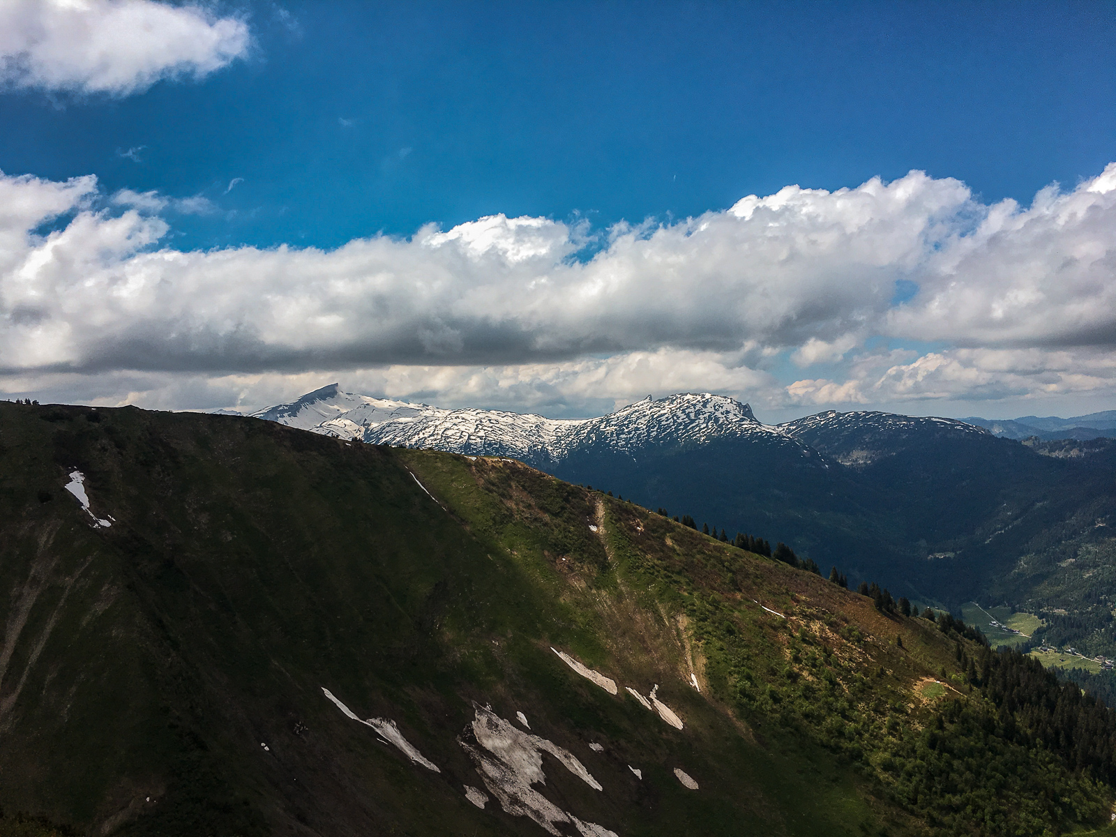 IMG_5208-27.jpg