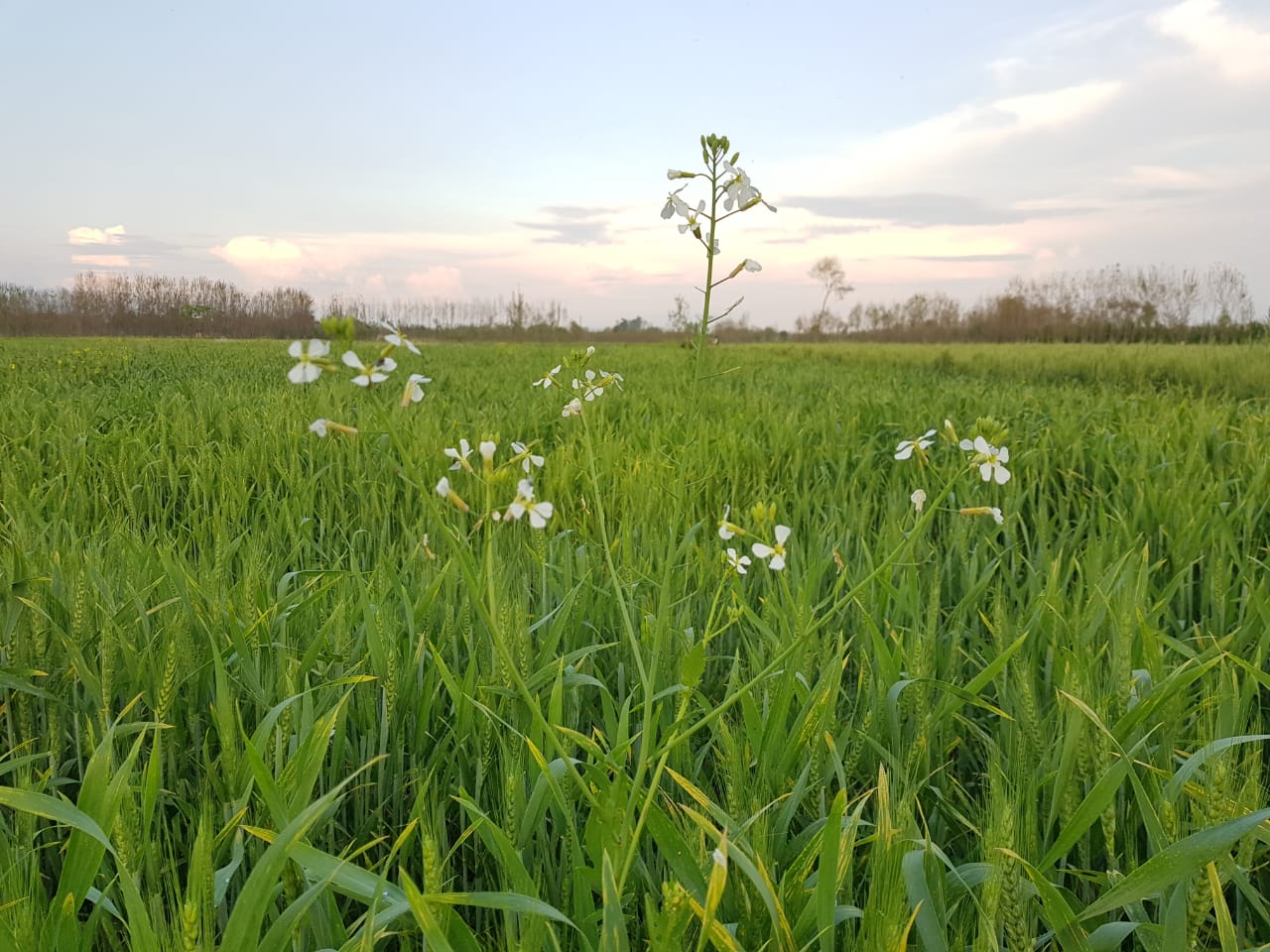 farm photos (3).jpeg