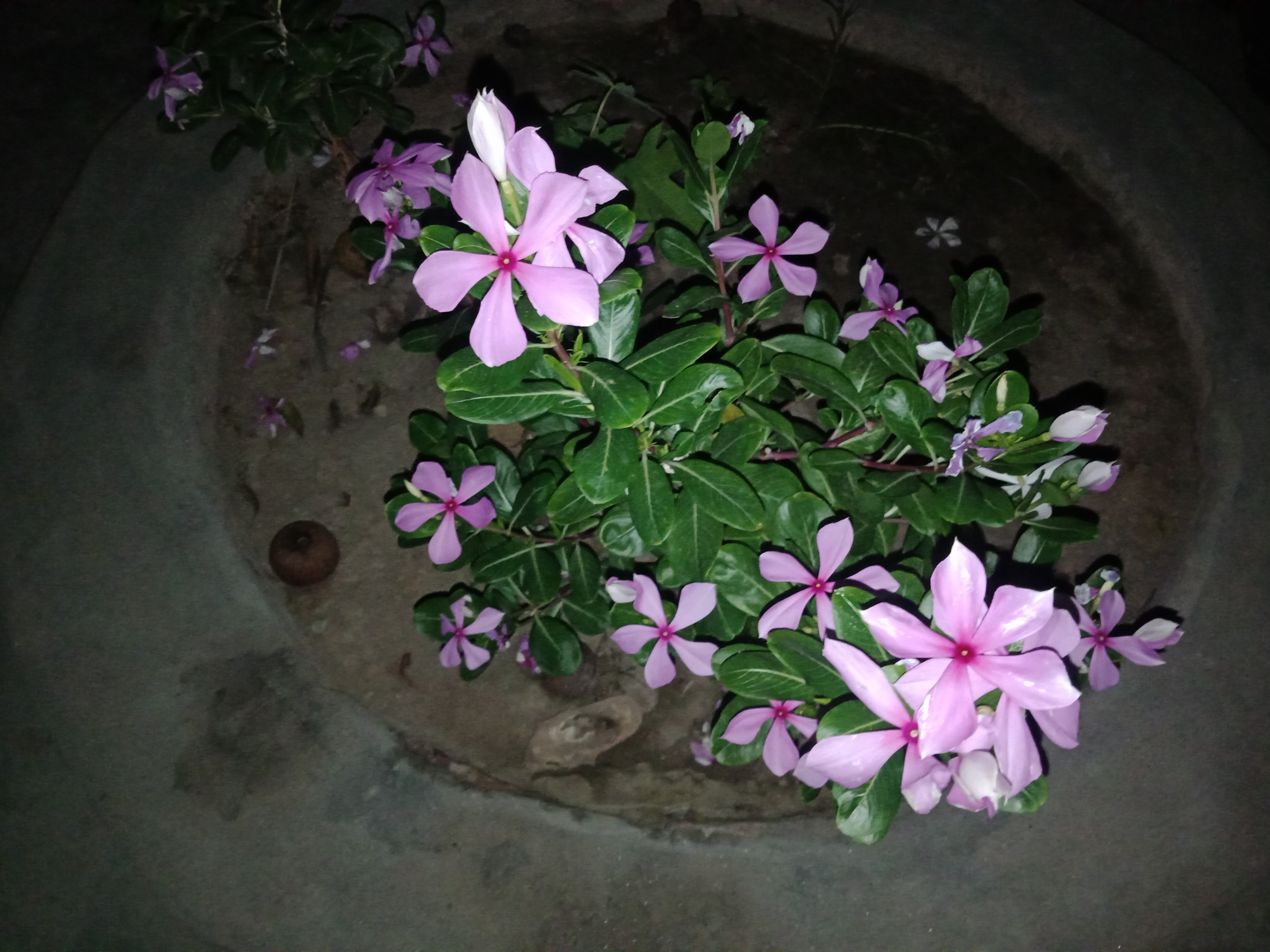 IMG20210910211208.jpg