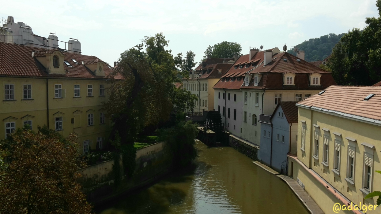 20190930_232207.jpg