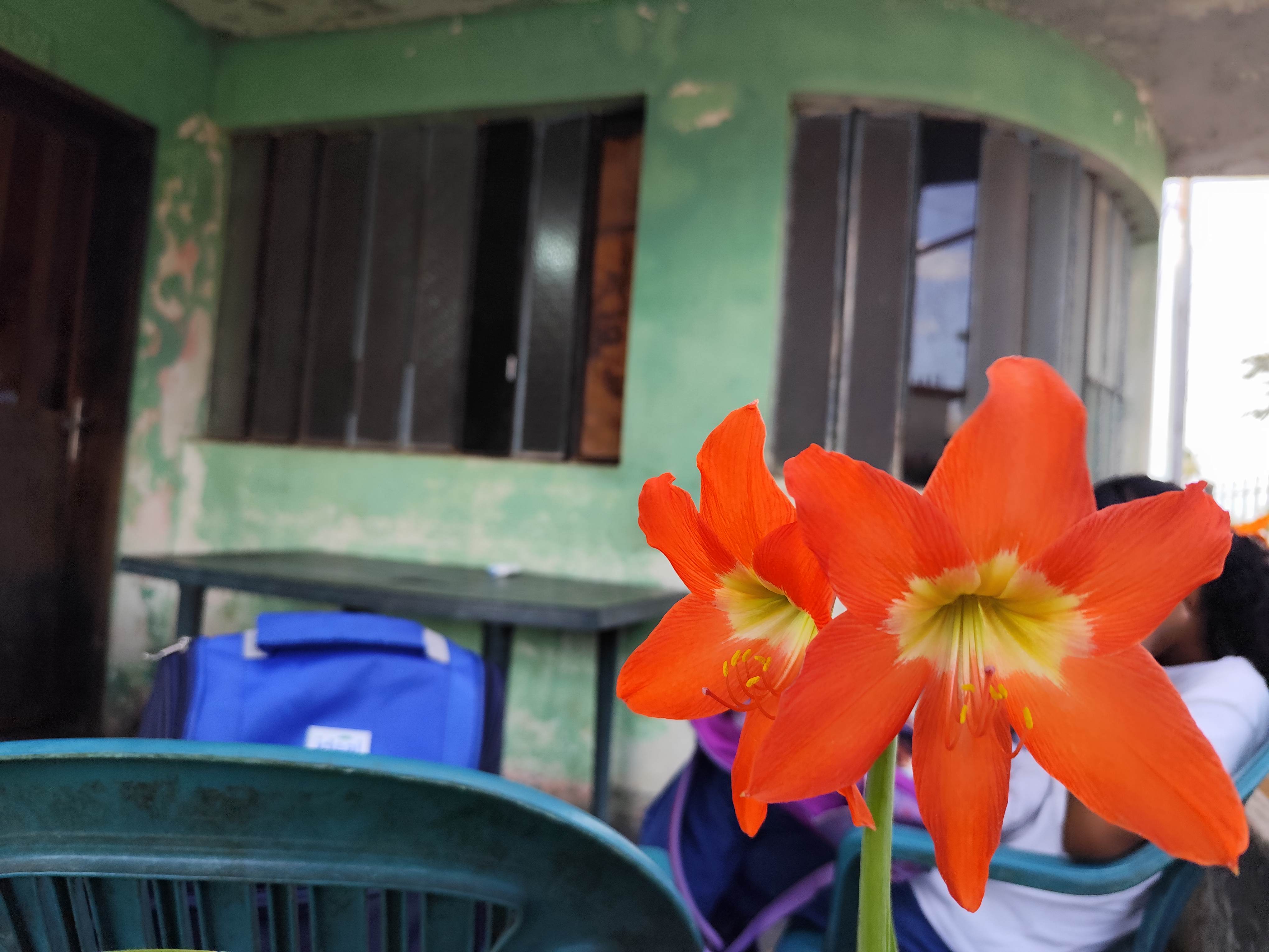 IMG_20260302_164411.jpg