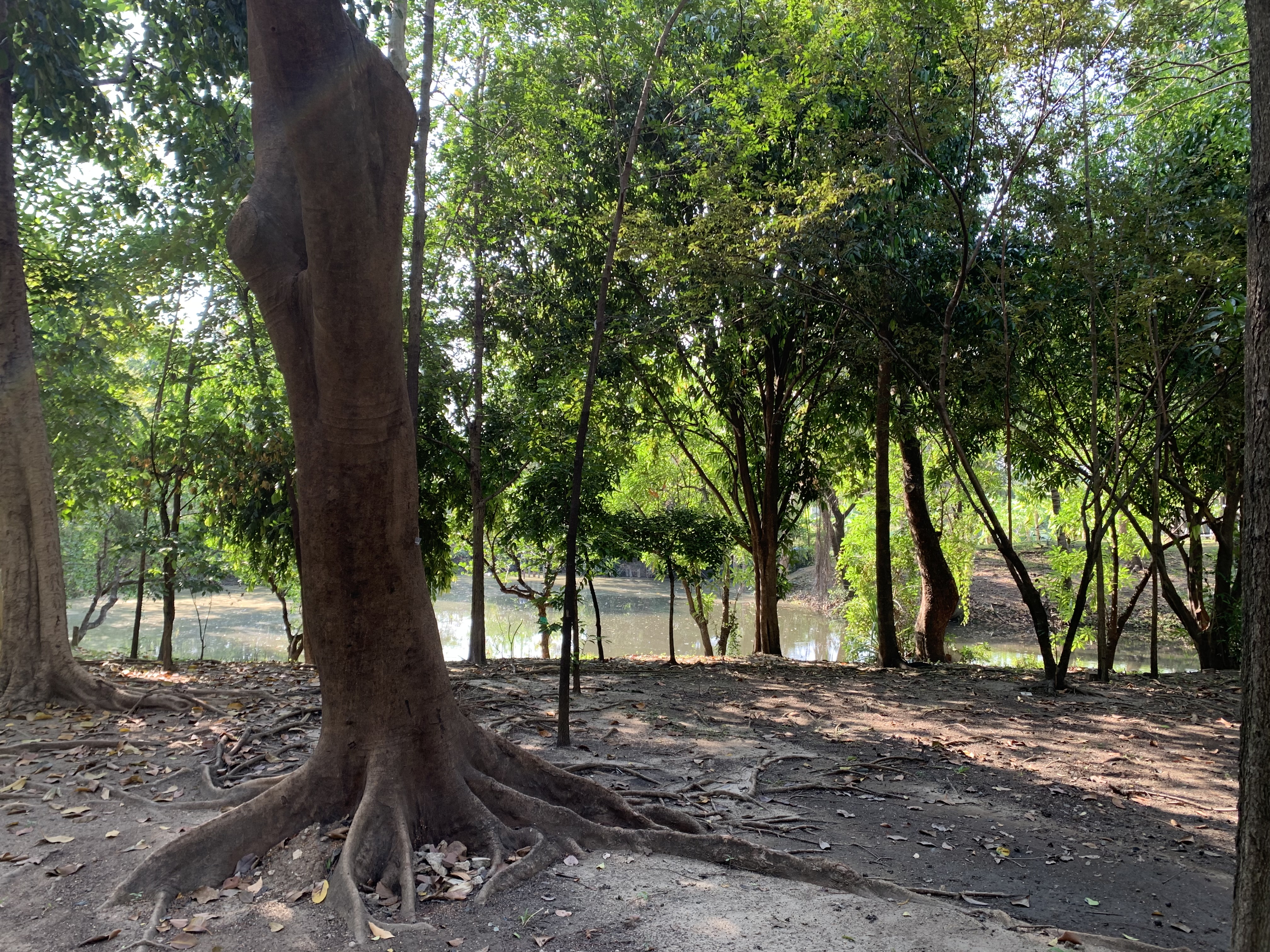 Queen Sirikit Park22.jpg