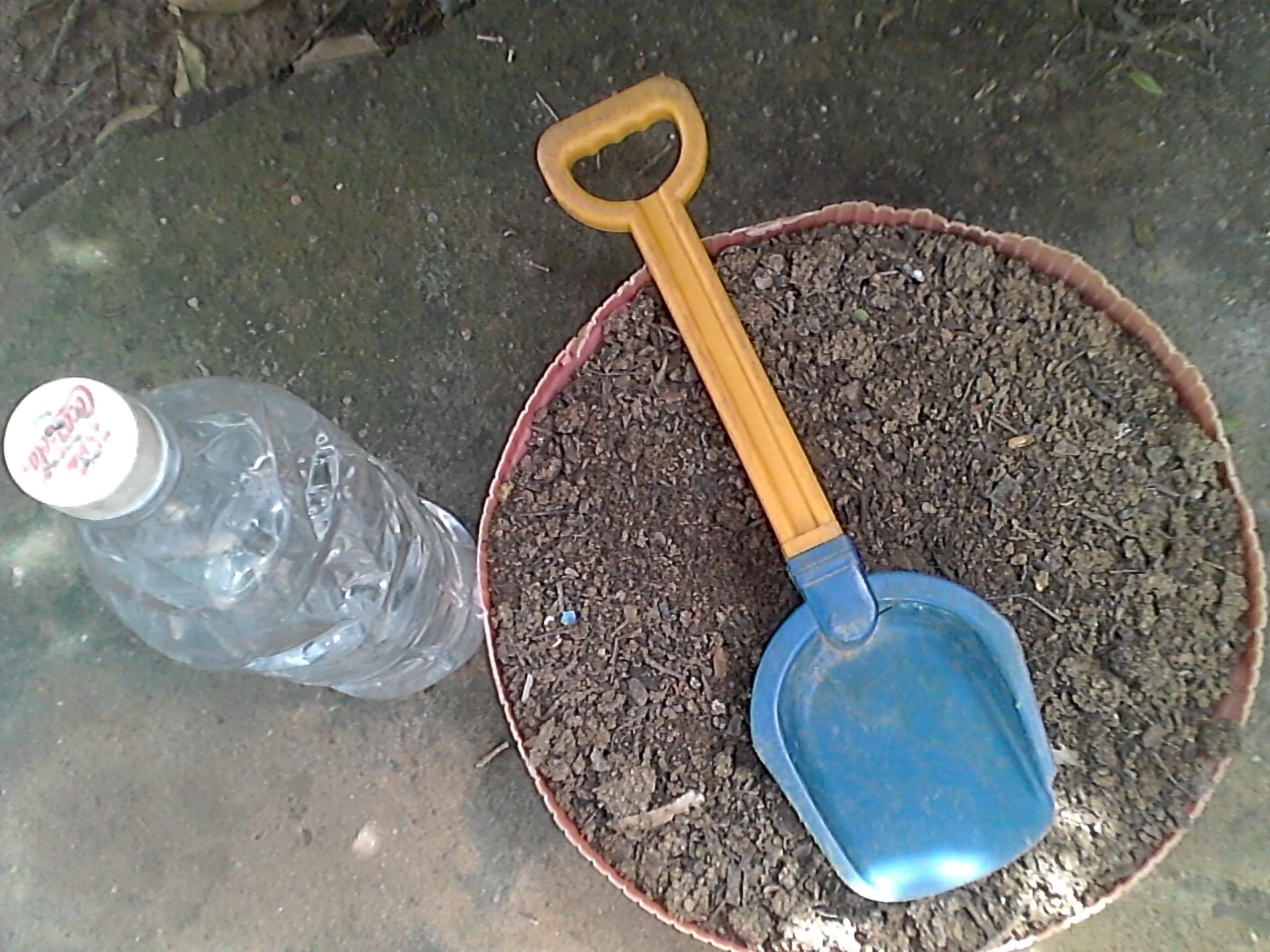 IMG_20201006_100753.jpg