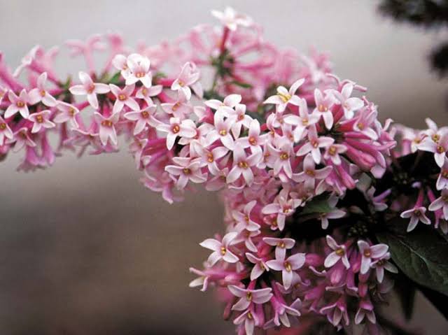 images (53).jpeg