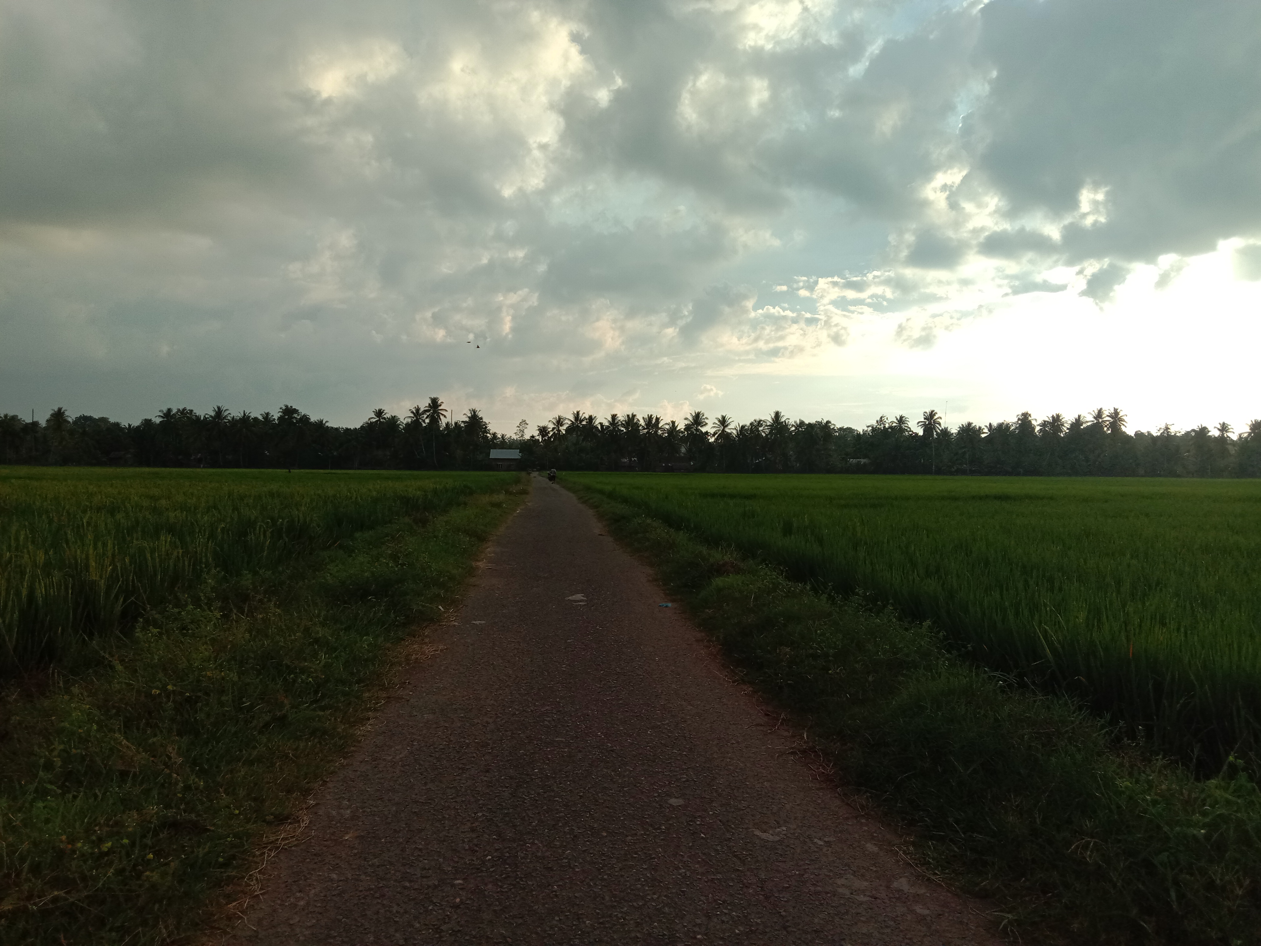 IMG_20210612_175818.jpg