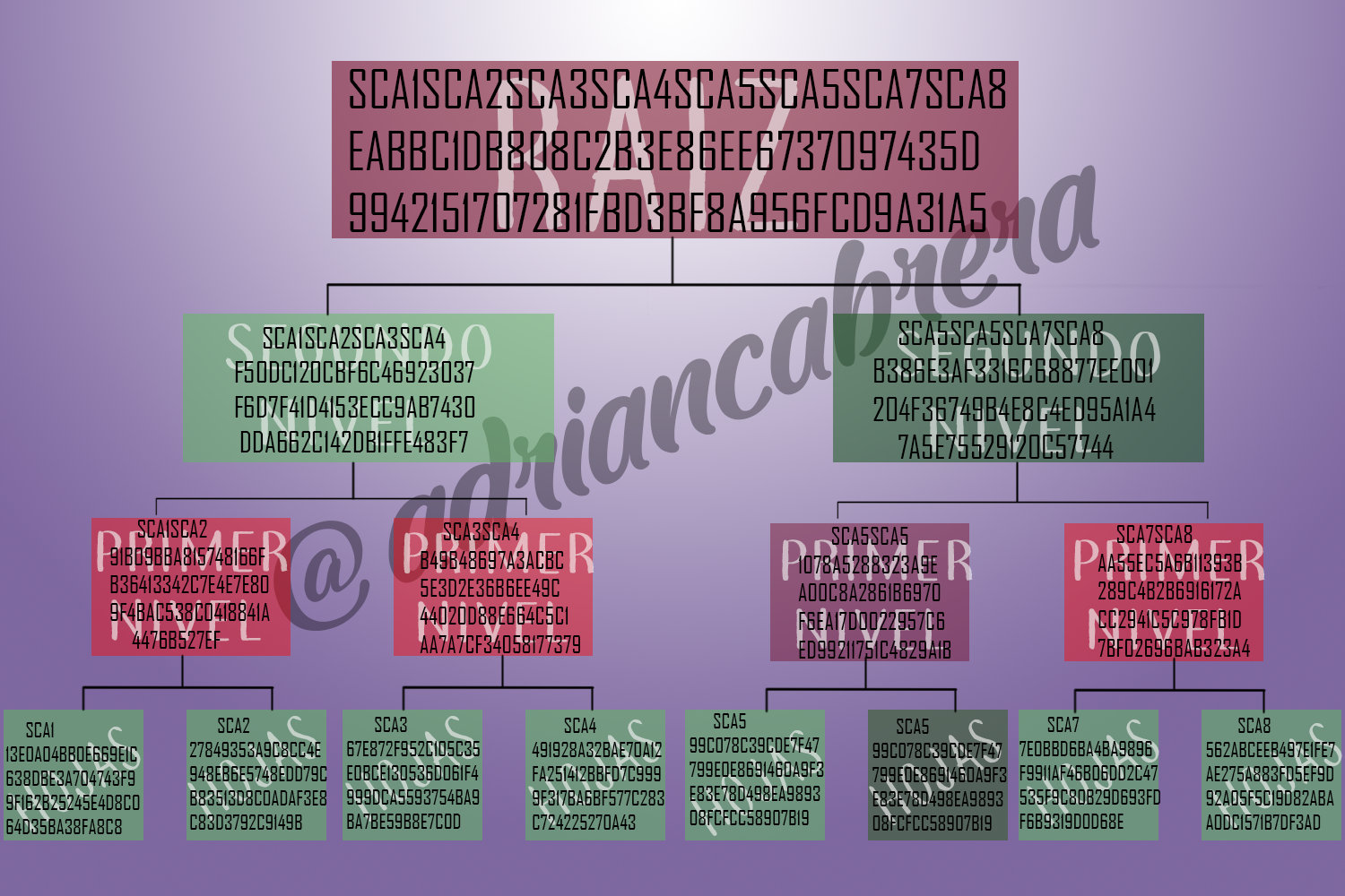 Arbol-Markle-4-Adrian-cabrera.png