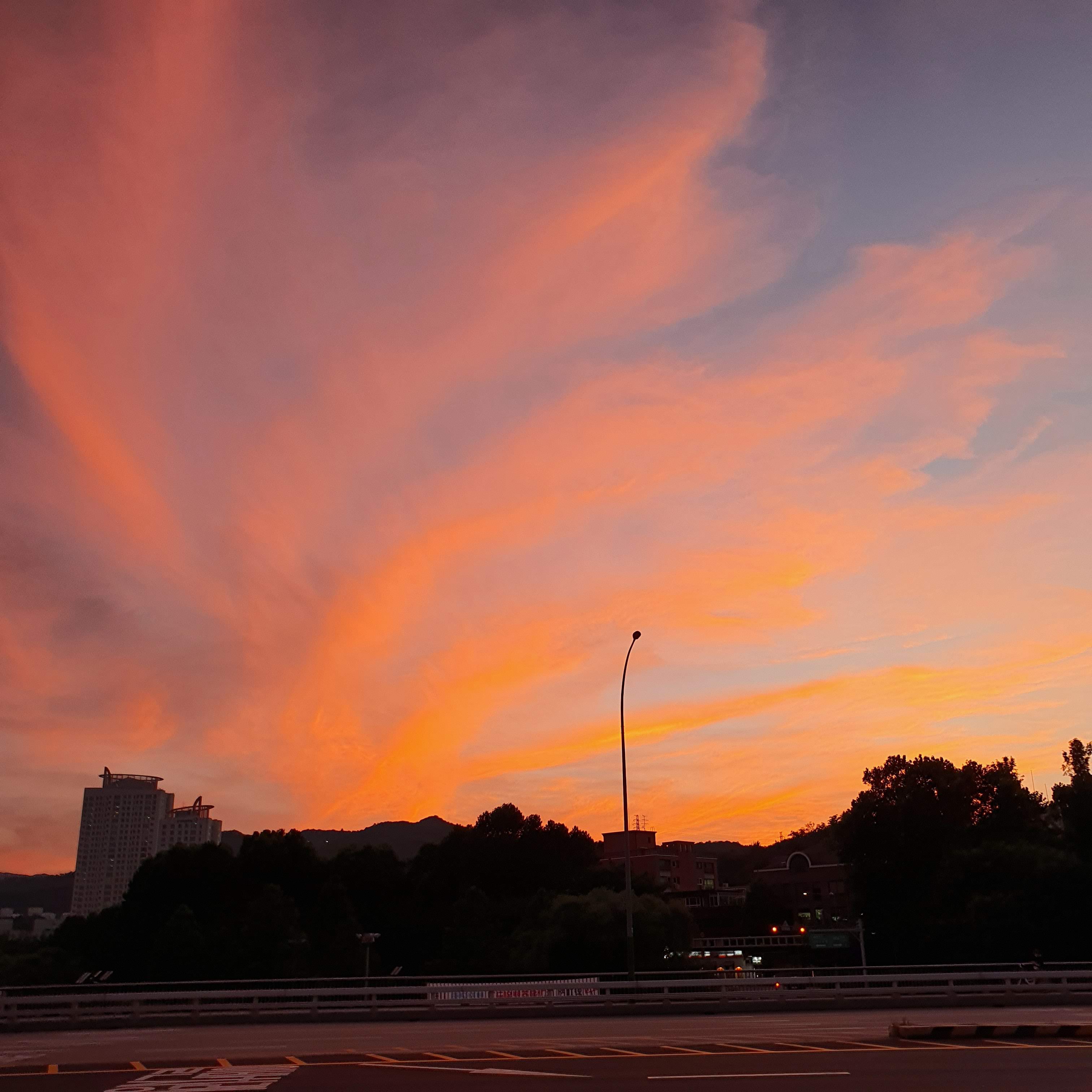 0946C6A9-0C49-462C-9779-13A176D9A7D6.jpeg