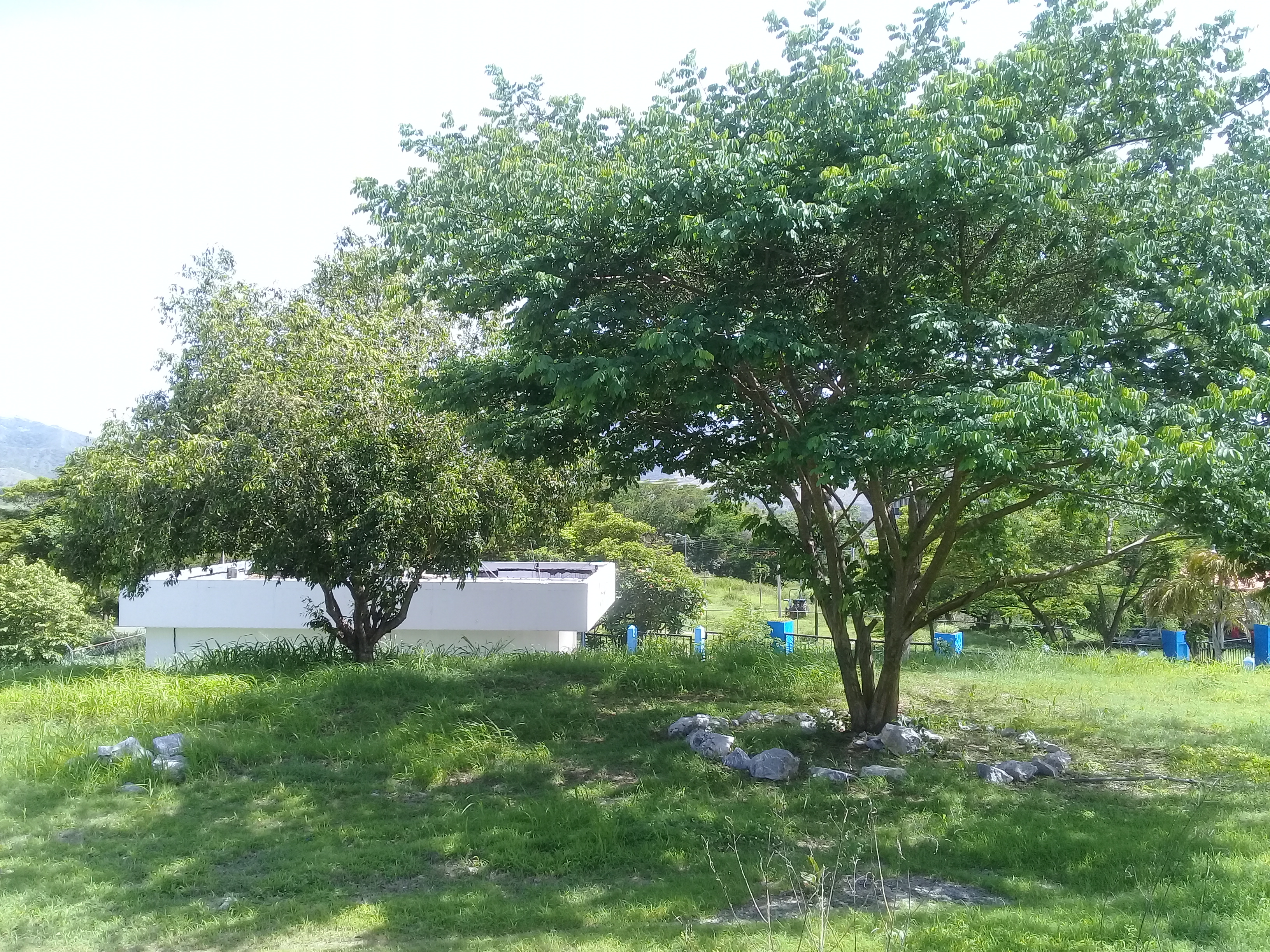20210525_101454.jpg