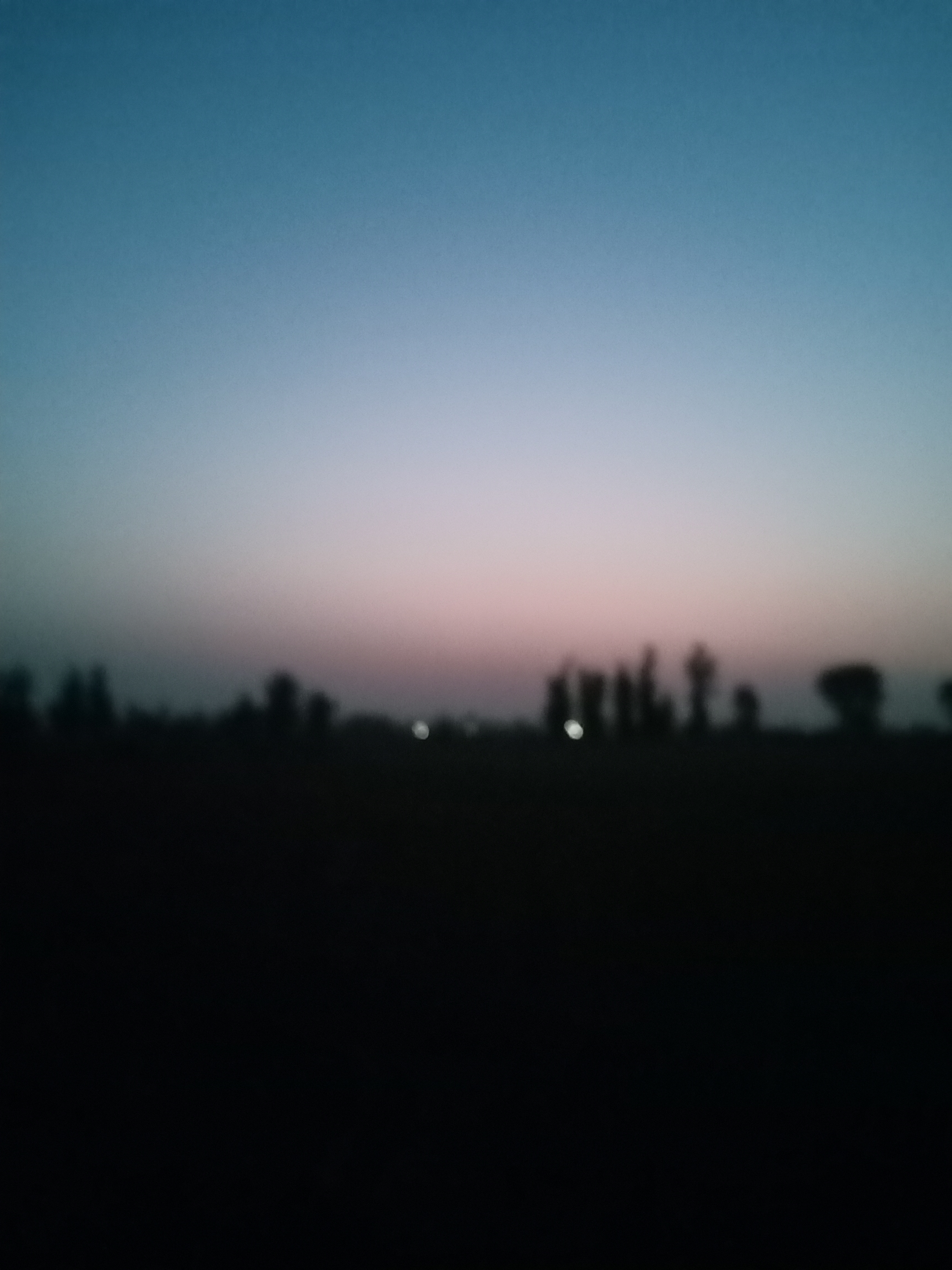 IMG20210528043030.jpg