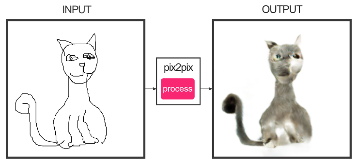 pix2pix cat.png